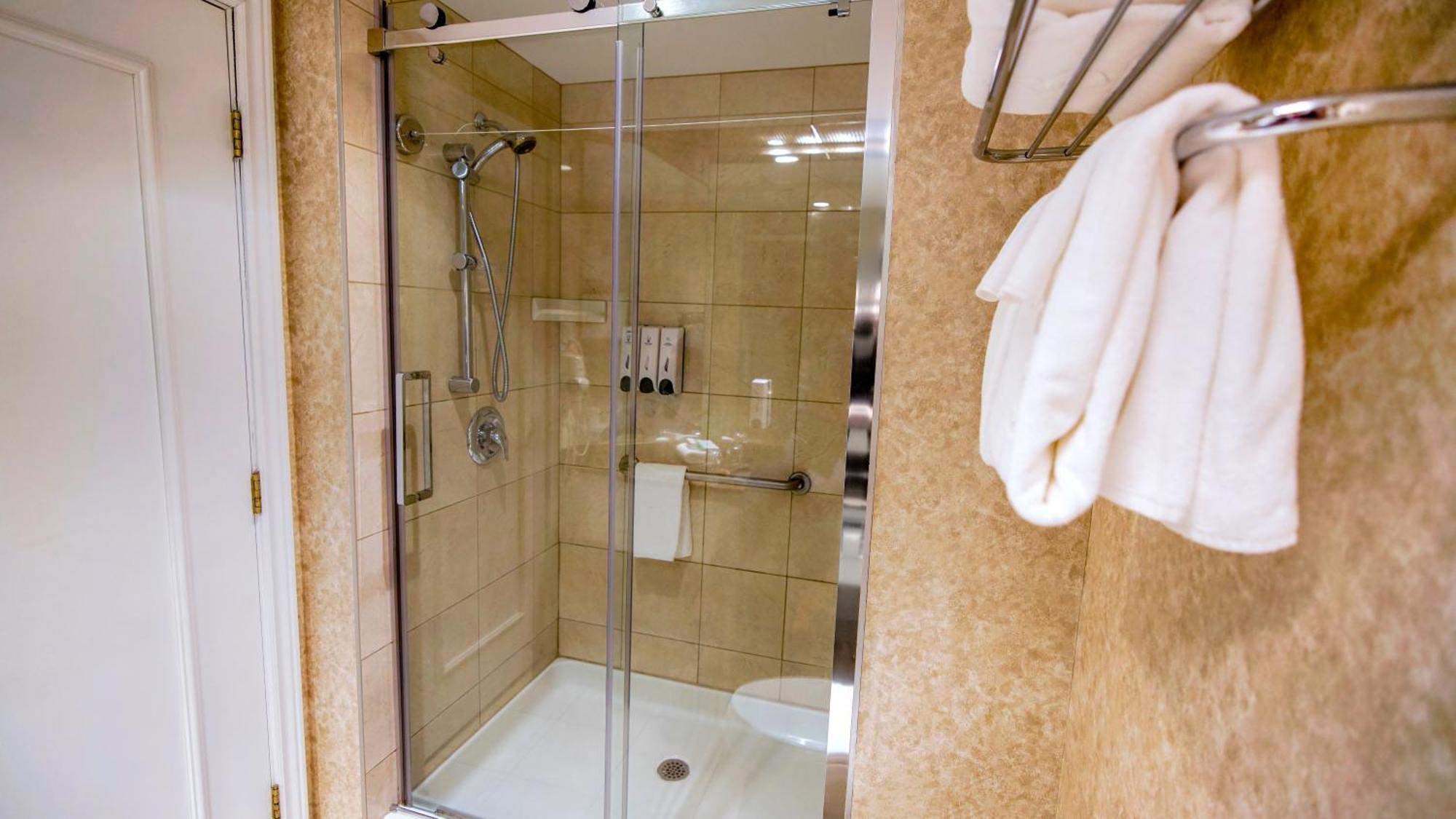 Classic Room 1 Queen Bed Glass Shower