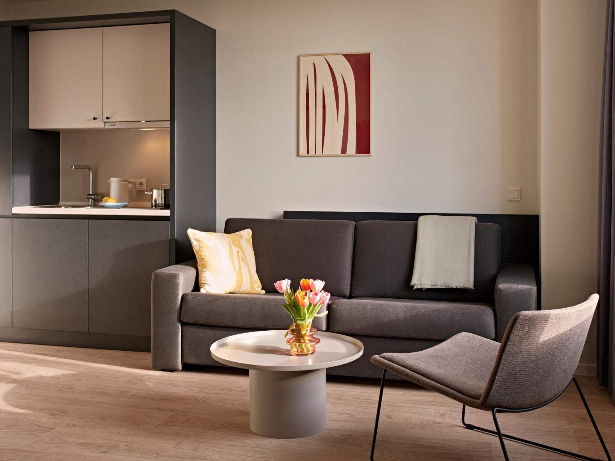 Extra Large Studio Kitchen Sofa Bed,1766056418:JPEG