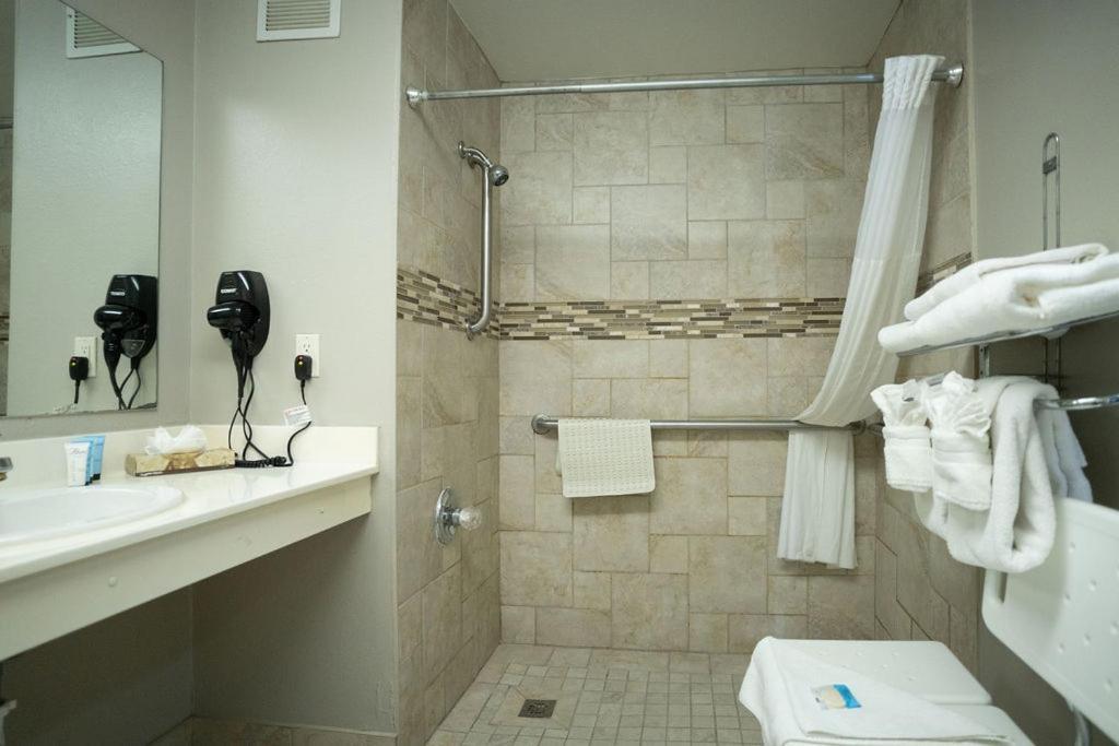 Queen Room Two Queen Beds Roll Shower Disability Access