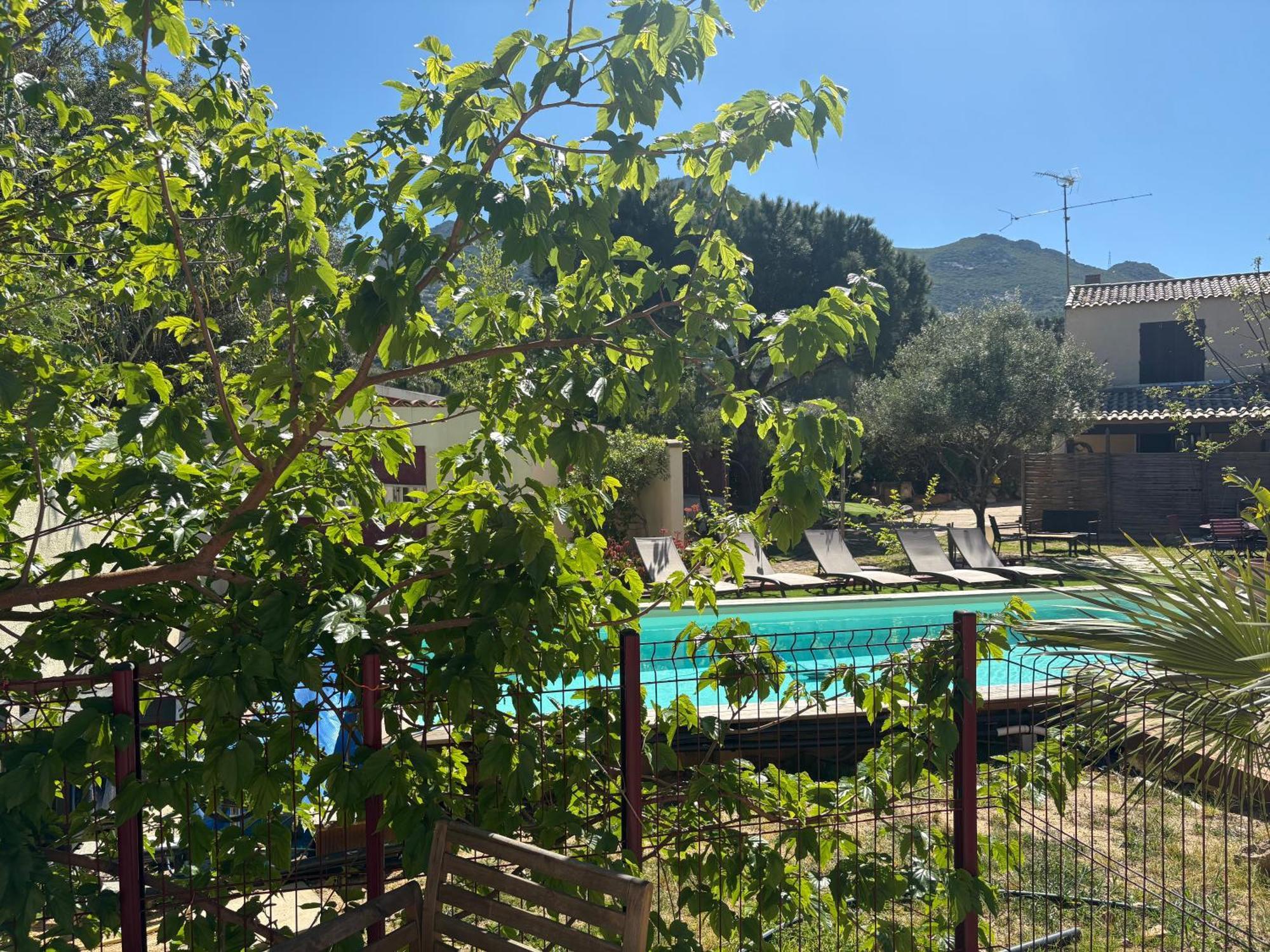Double Room Garden View