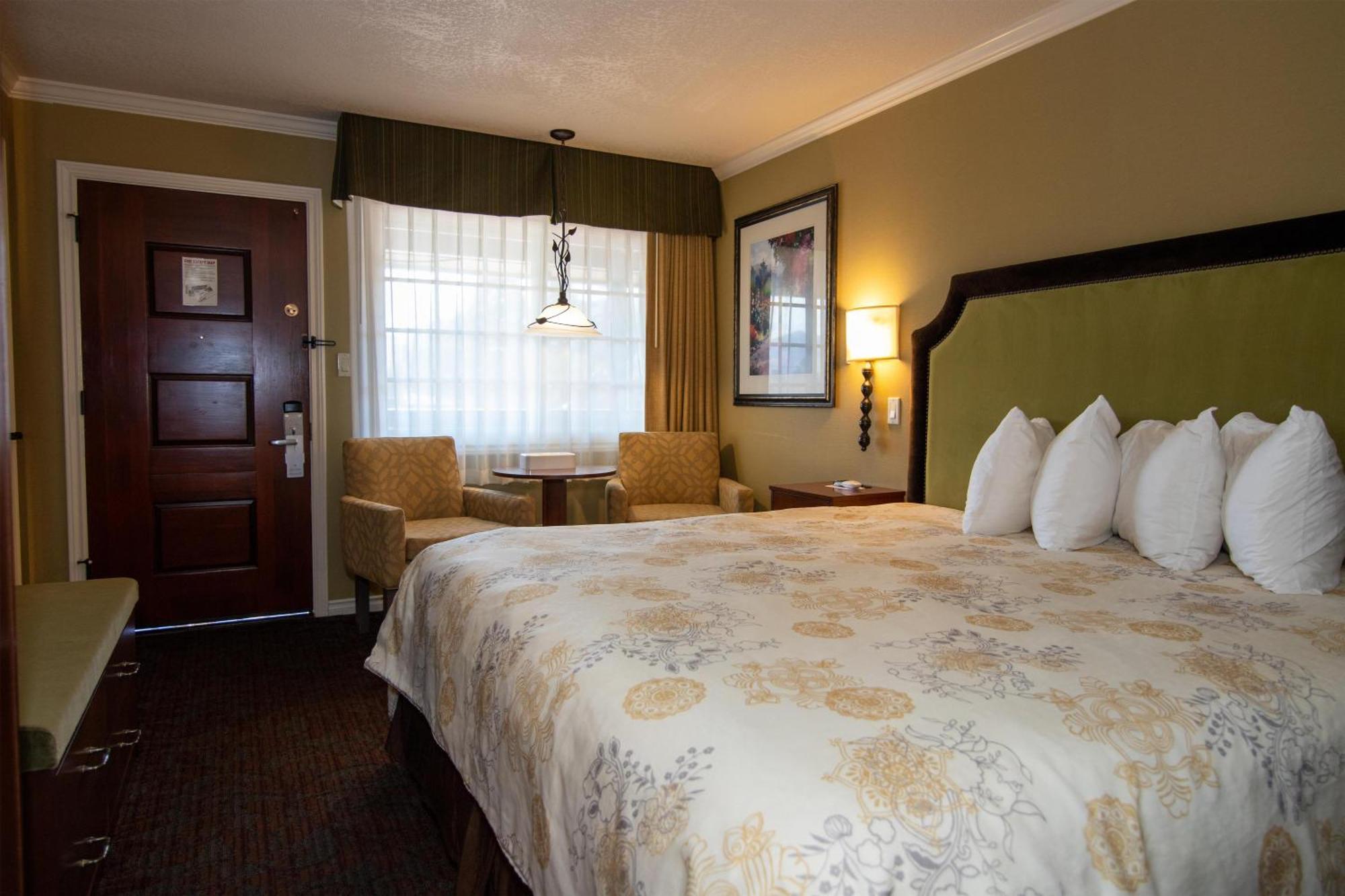 King Room Pet-Friendly