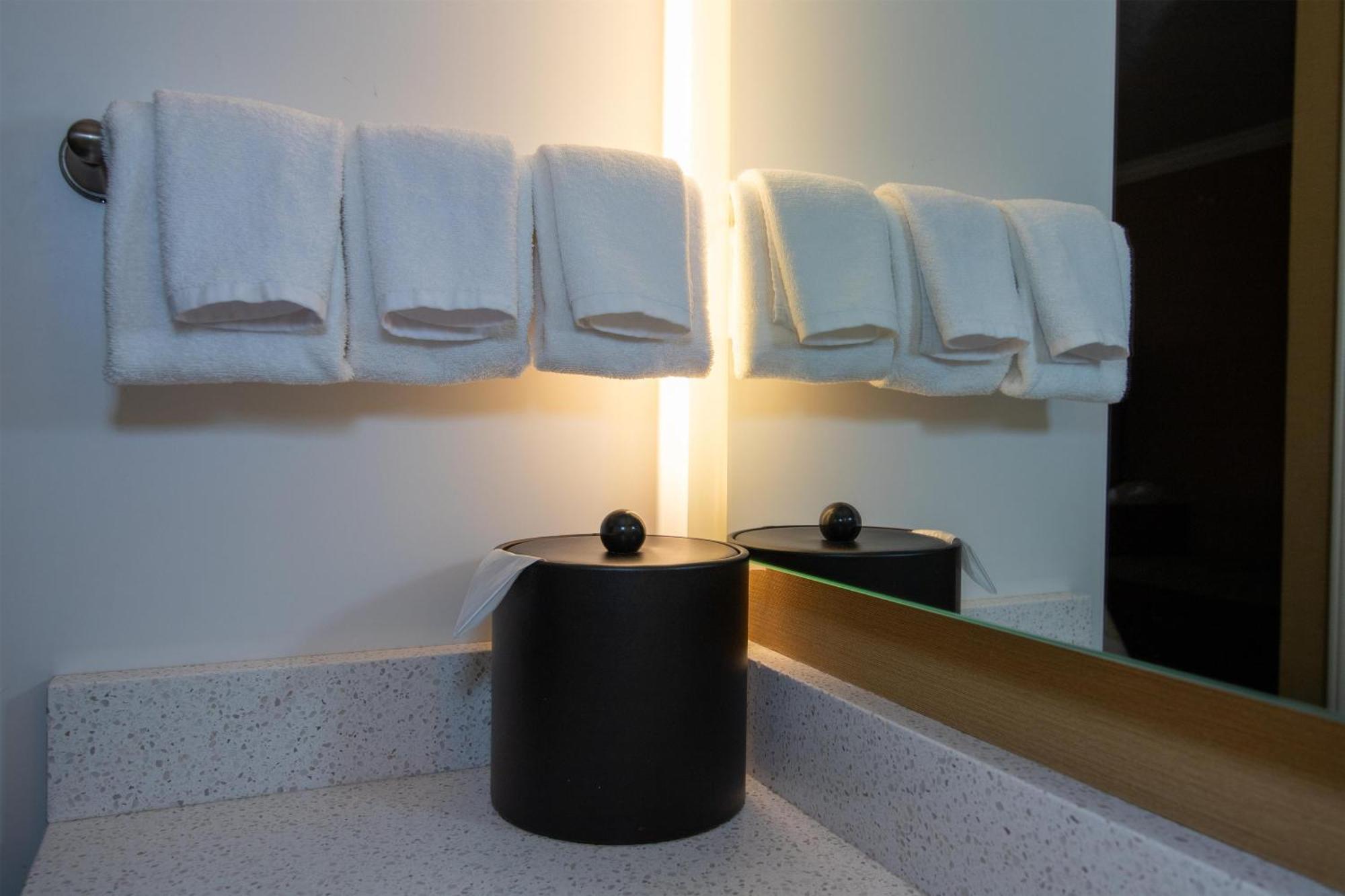 King Room Pet-Friendly