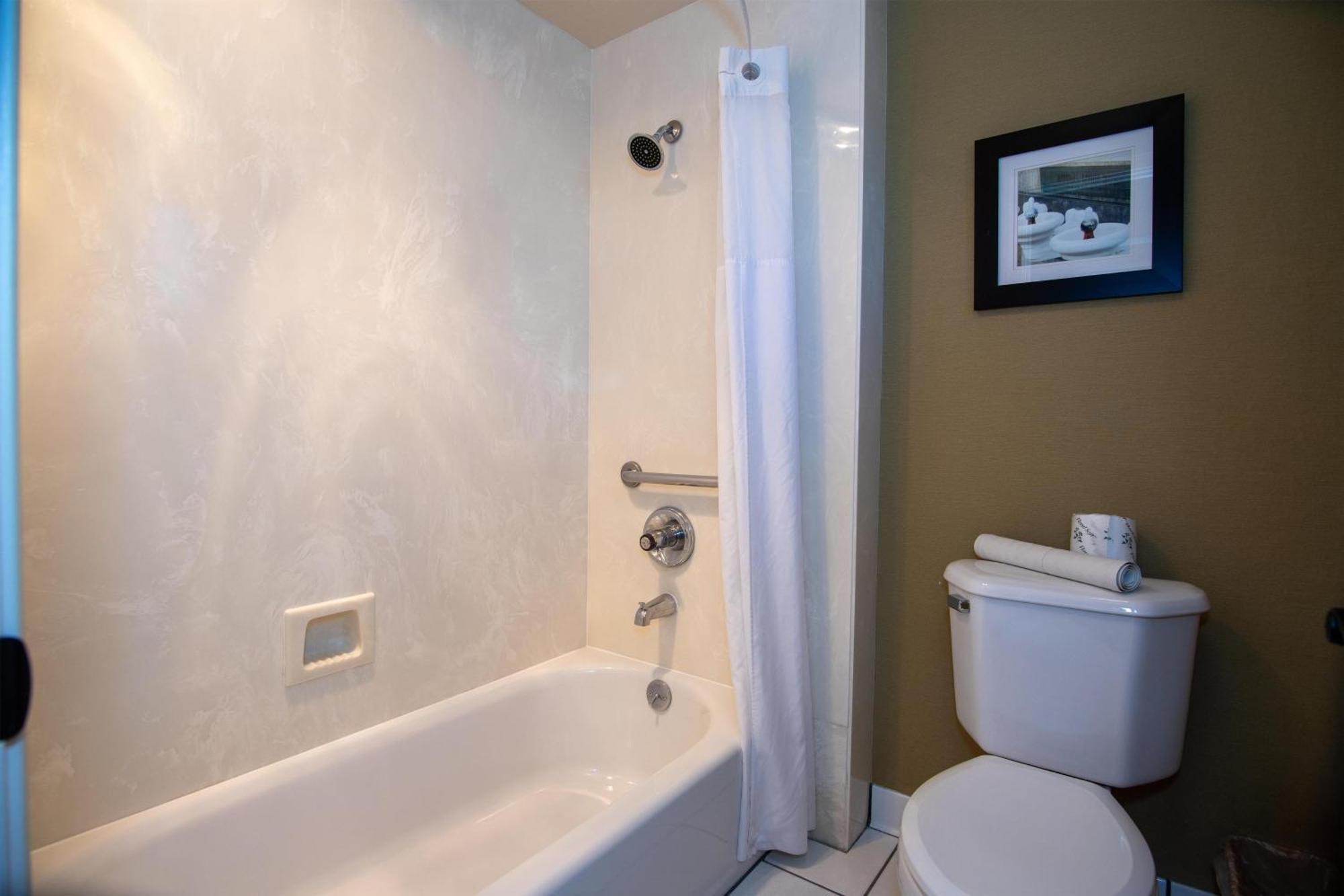 King Room Pet-Friendly