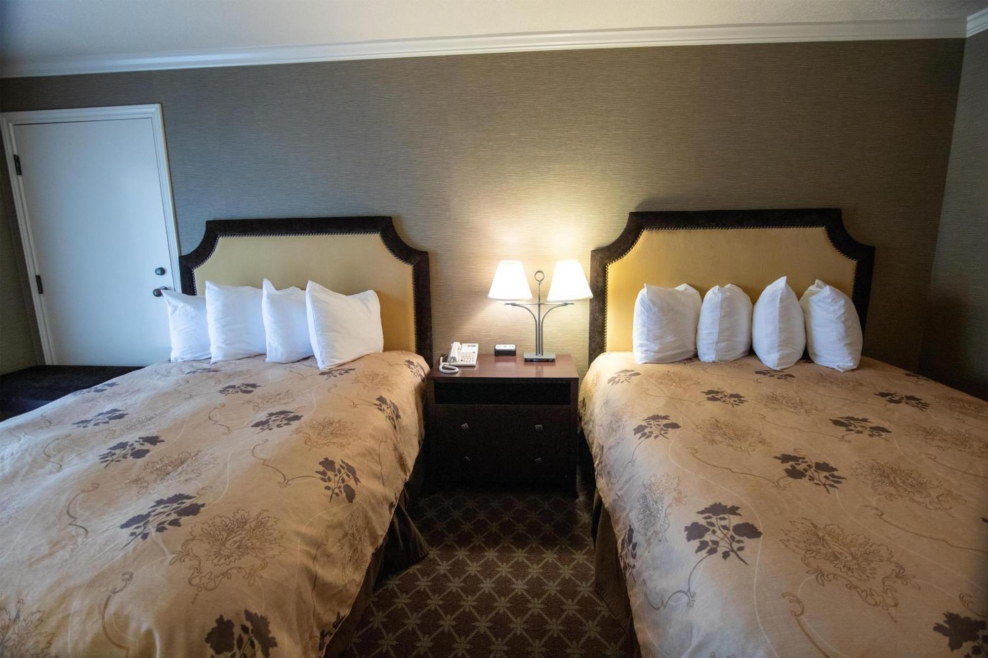 Deluxe Queen Room Two Queen Beds Pet Friendly