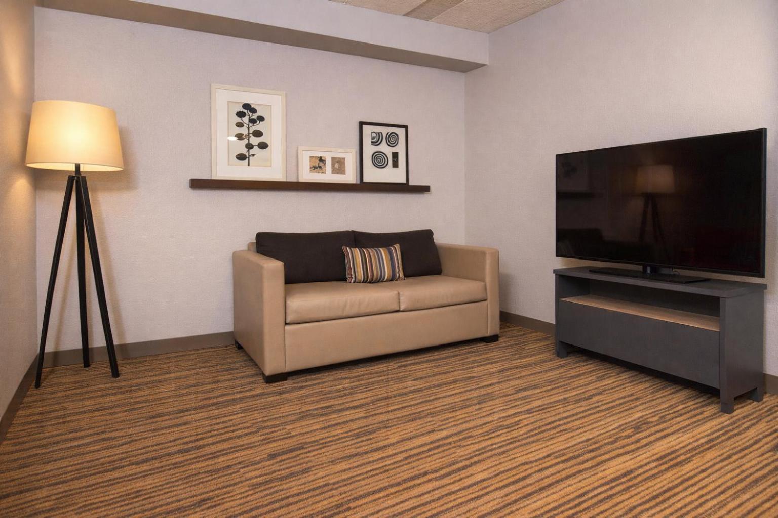 One-Bedroom Suite Sofa Bed Non-Smoking