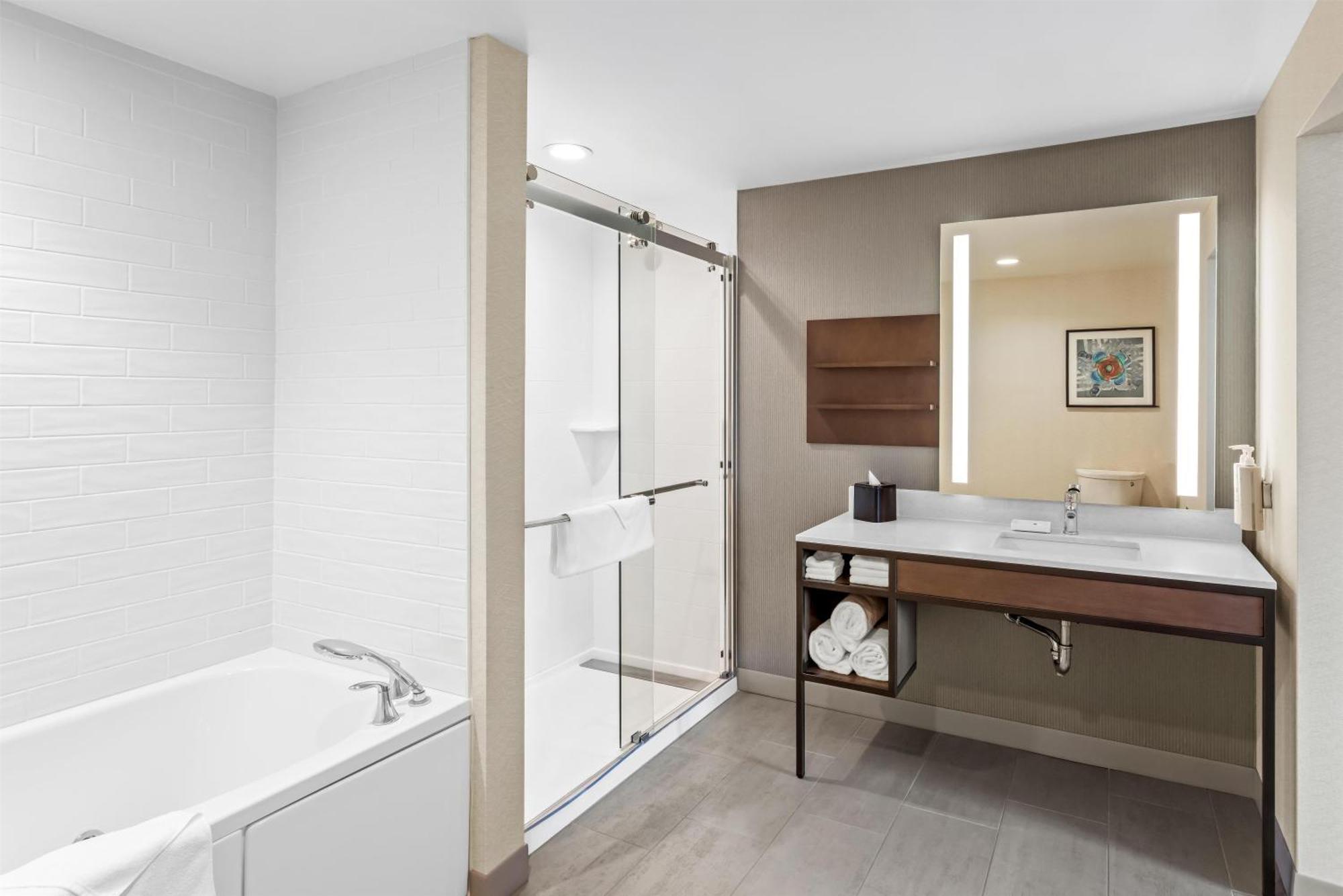 One-Bedroom King Suite with Sofa Bed