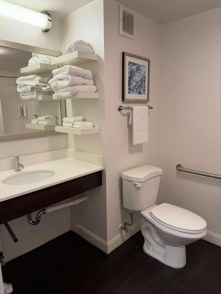 King Room Accessible Tub Mobility Hearing Access or Non-Smoking