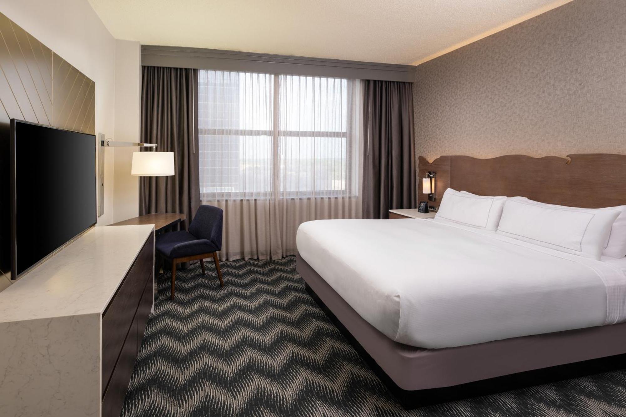 Studio Suite One King Bed One Queen Bed