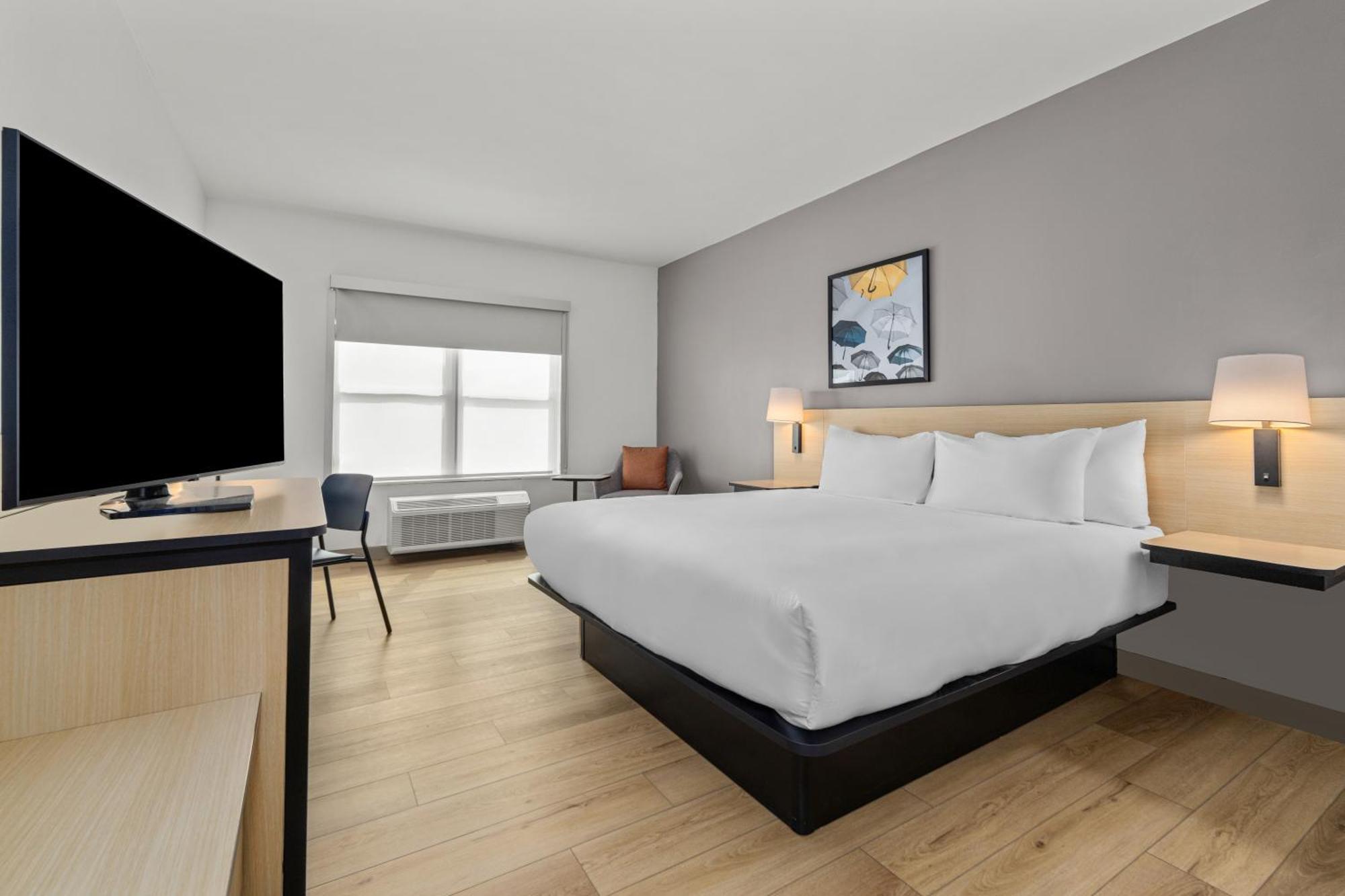 King Room,1770528437:JPEG