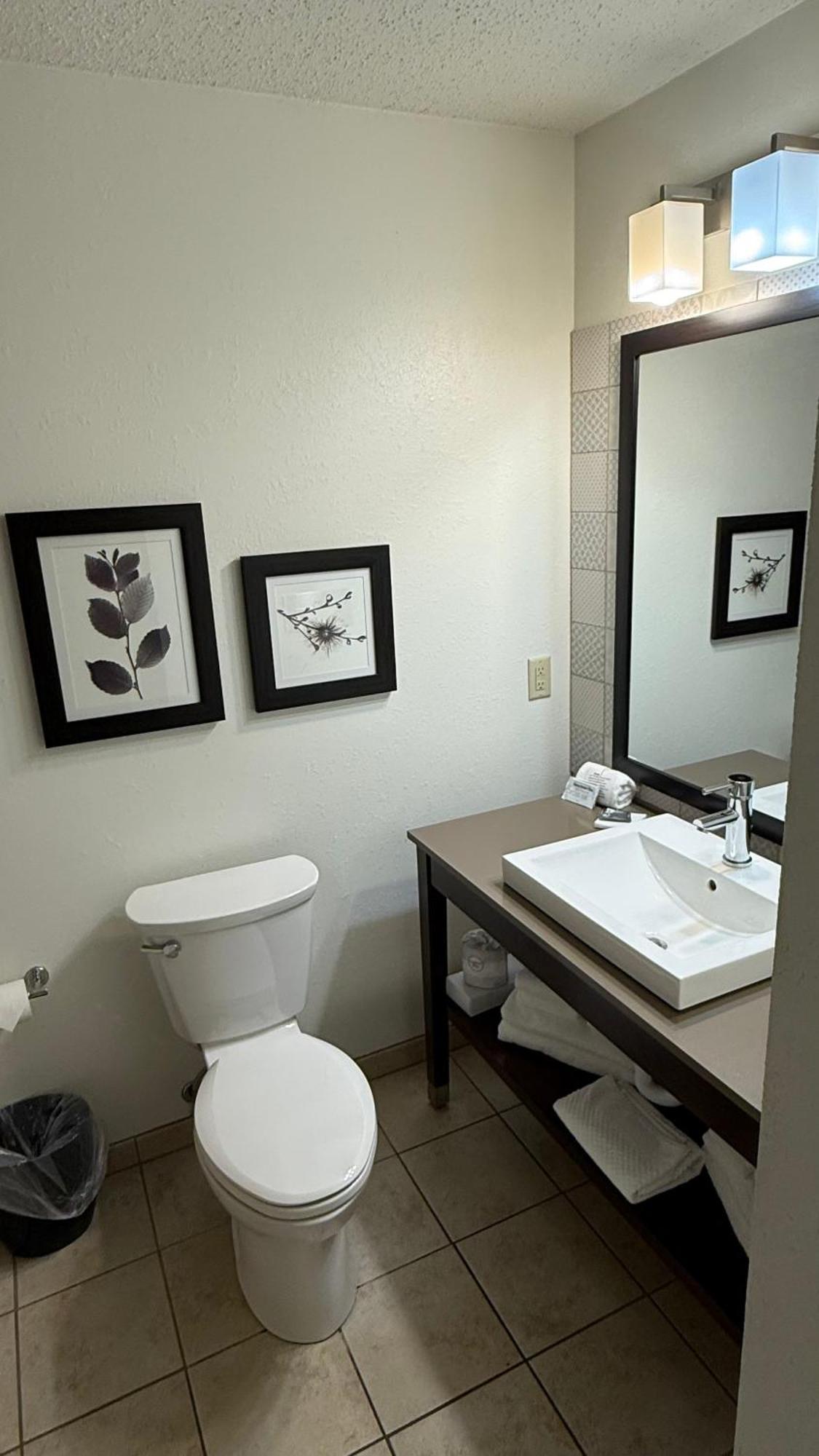 Studio Suite Two King Beds Non-Smoking