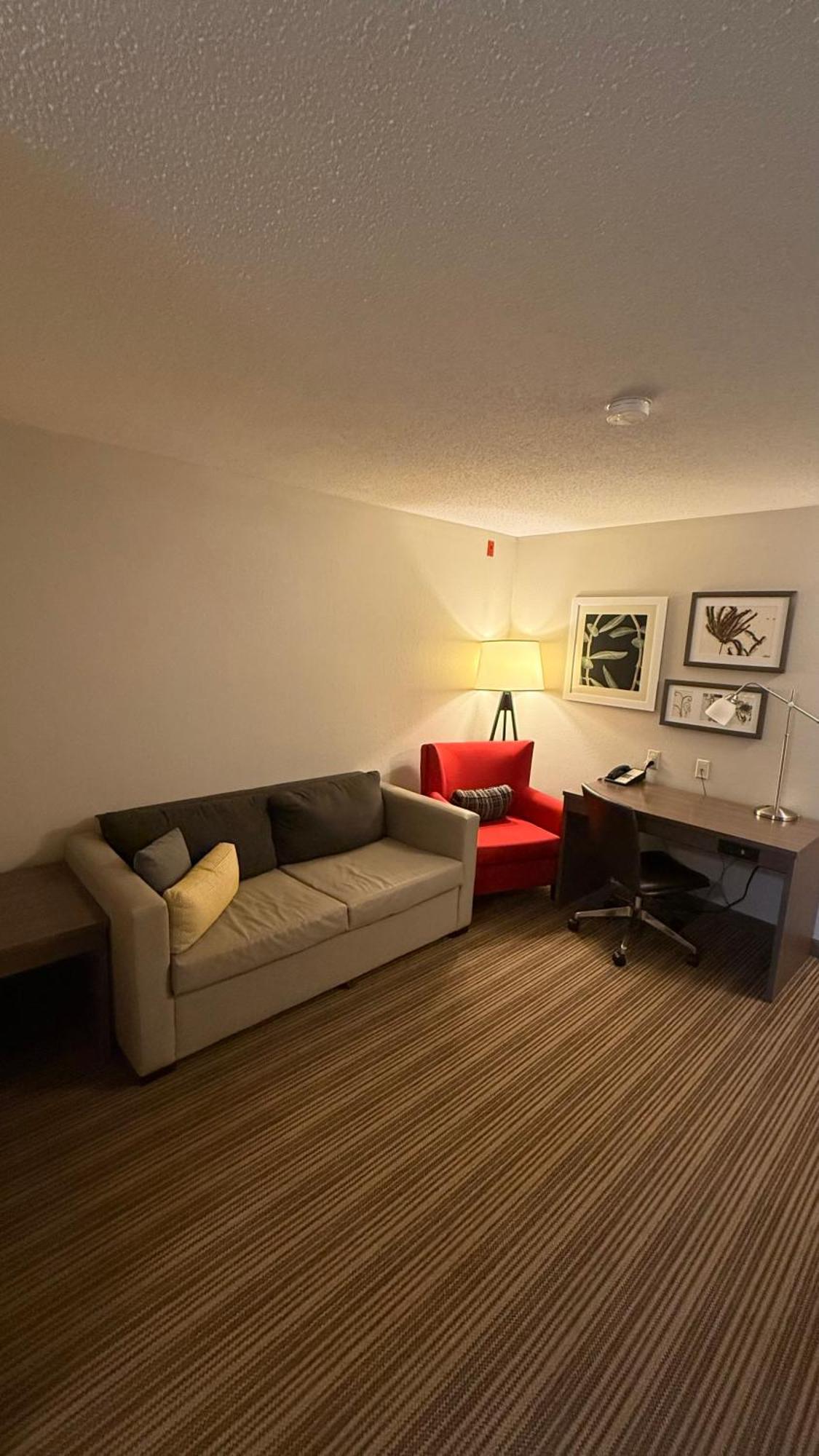 King Suite Sofa Bed Non Smoking