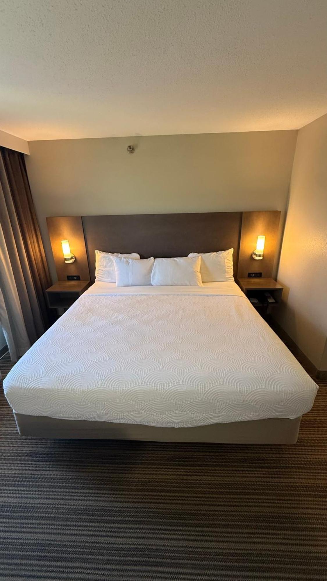 King Studio Suite