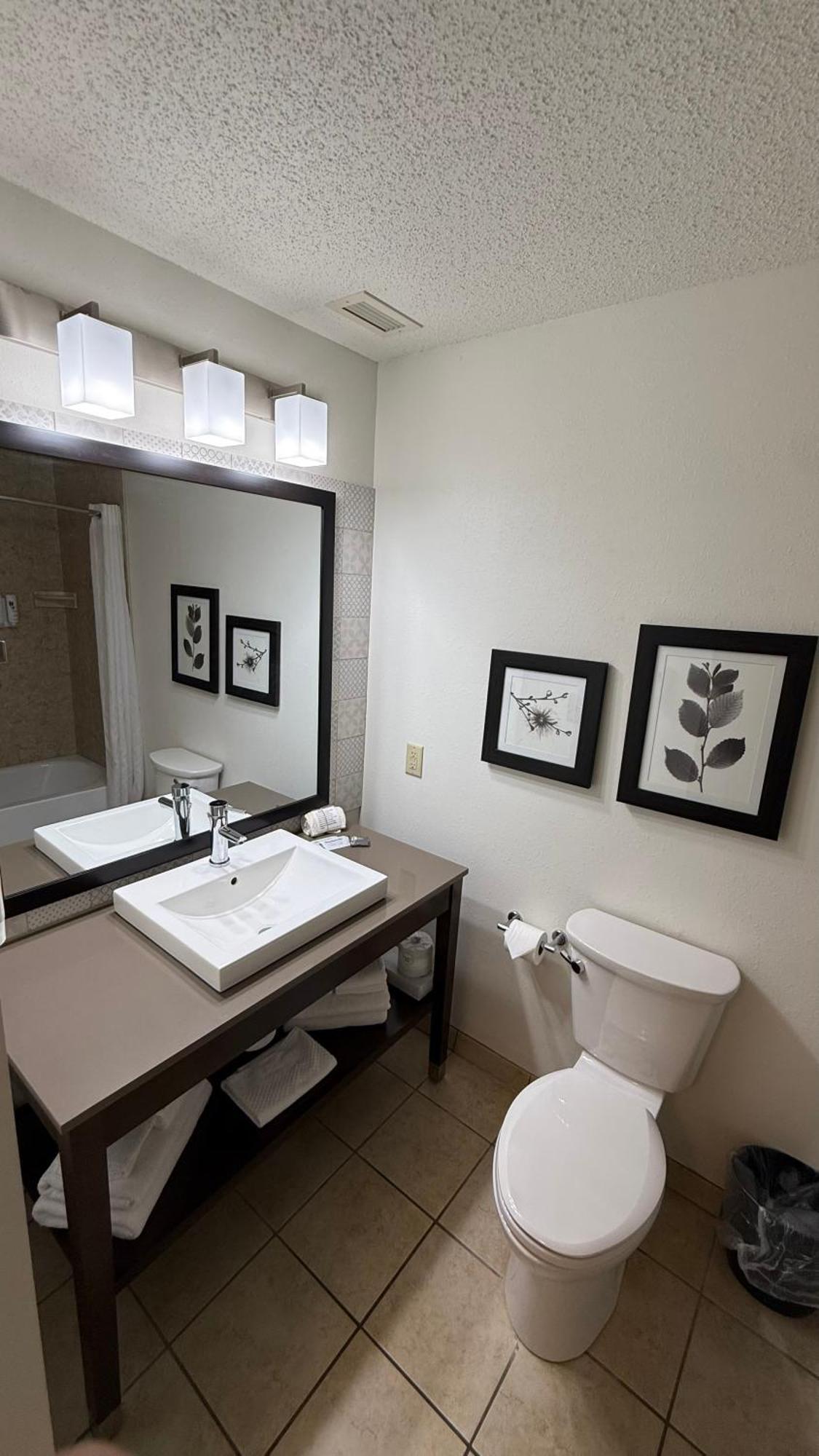 Studio Suite Non-Smoking
