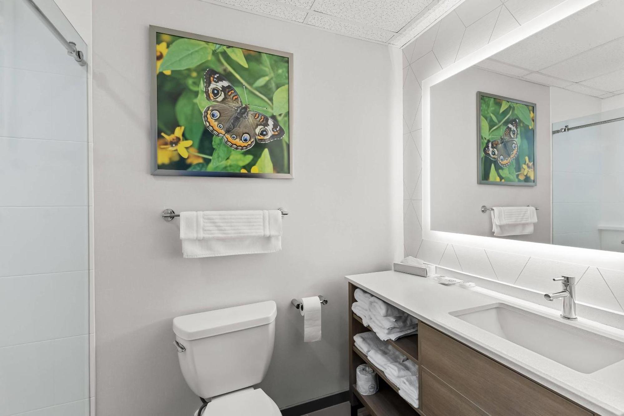 Standard King Suite with Sofa Bed - Non-Smoking
