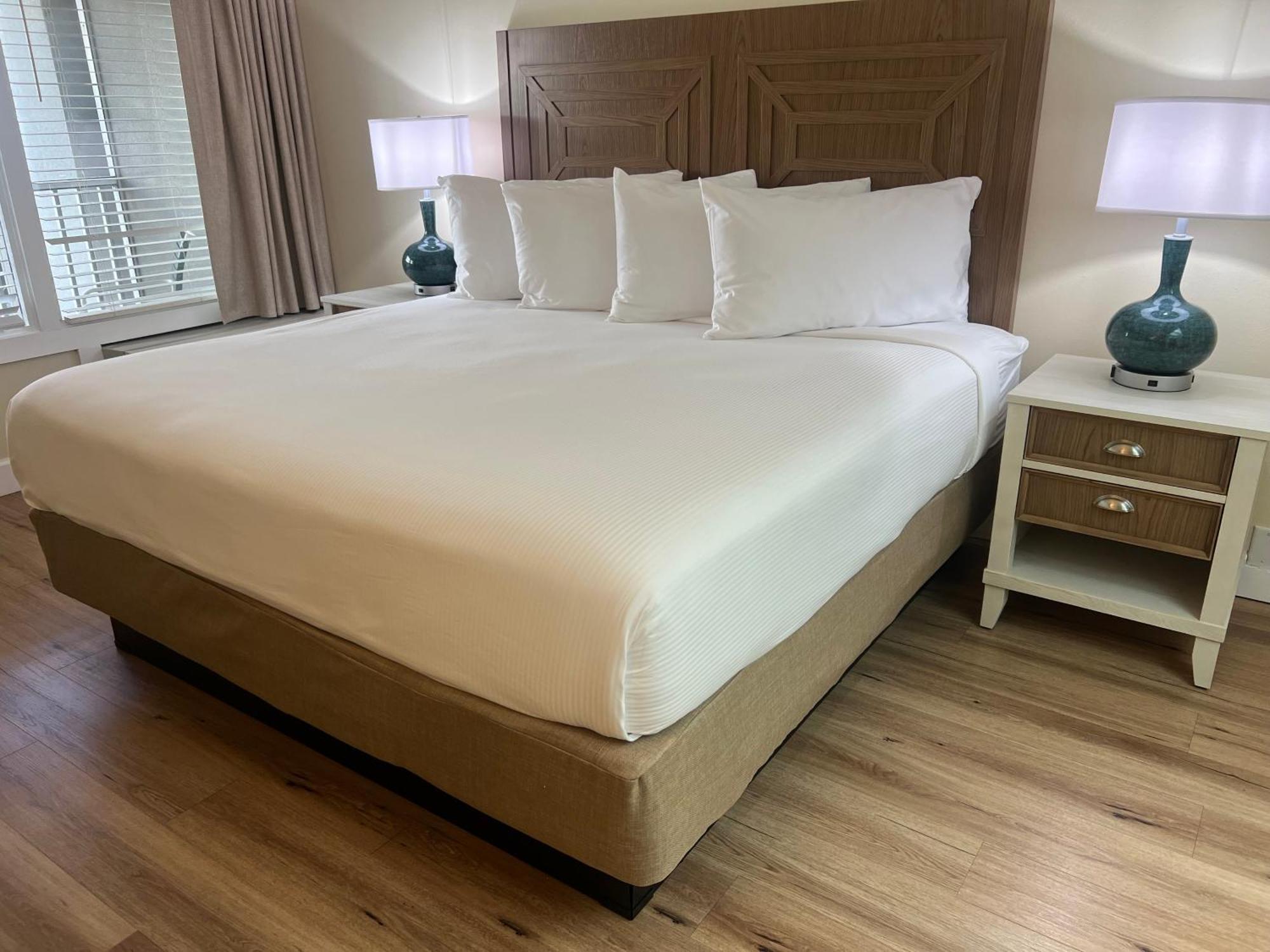 One-Bedroom Apartment,1771305137:JPEG