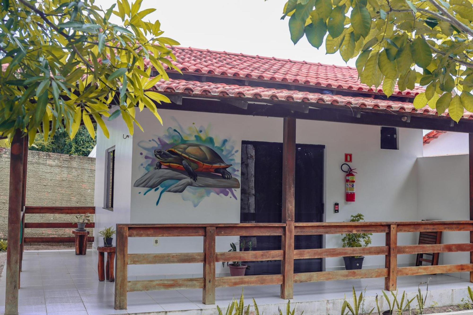 Family Room Terrace