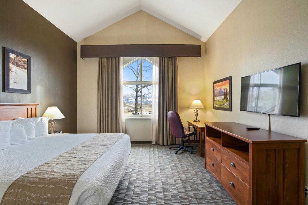 Executive Suite