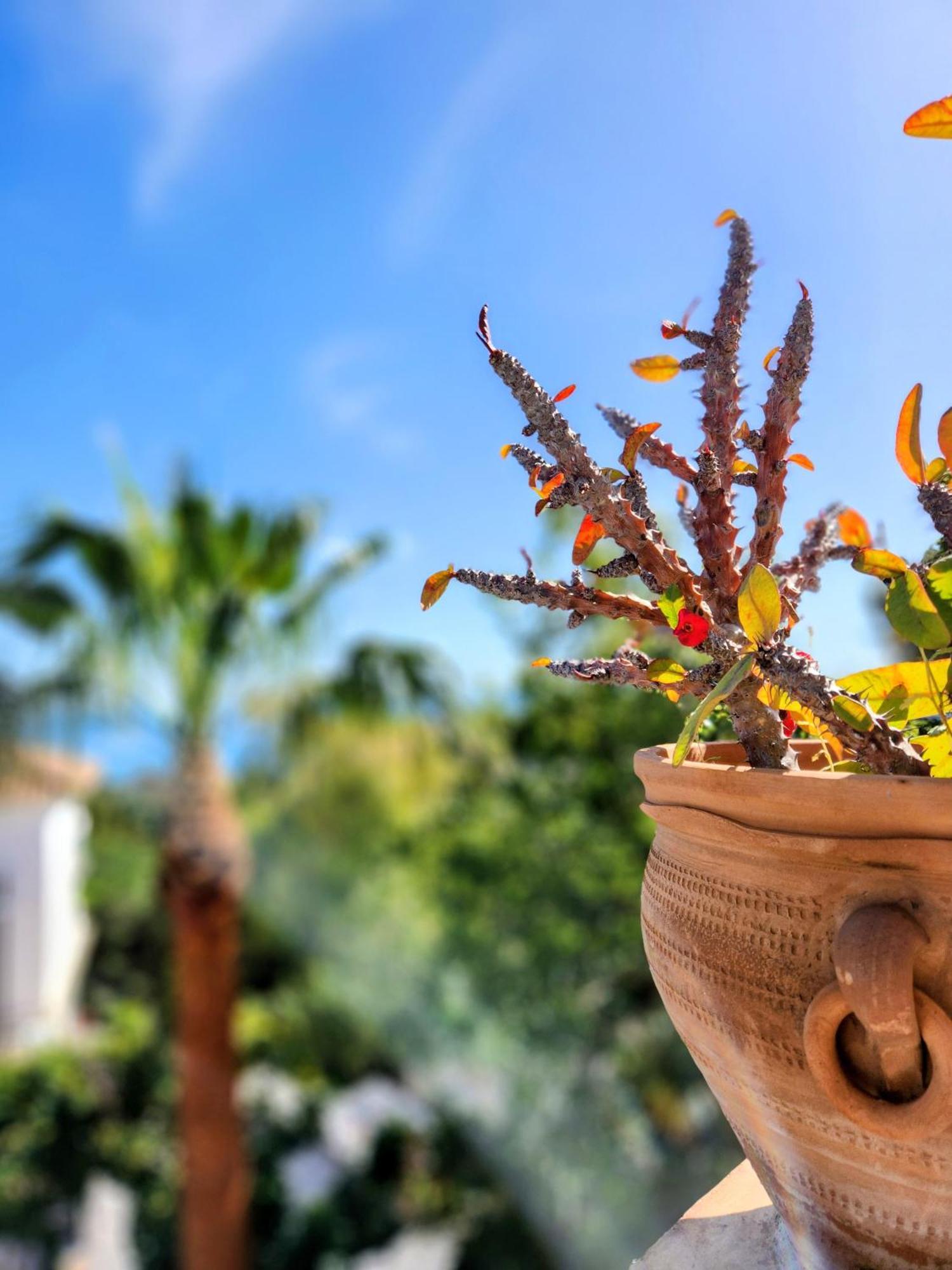 Double Room Garden View