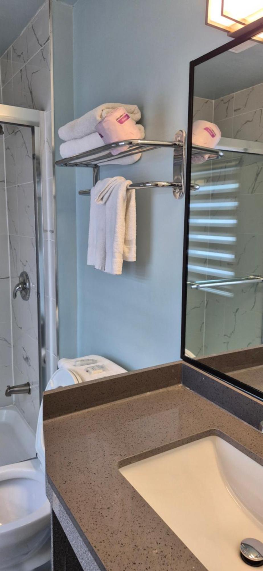 Premium Queen Walk Shower