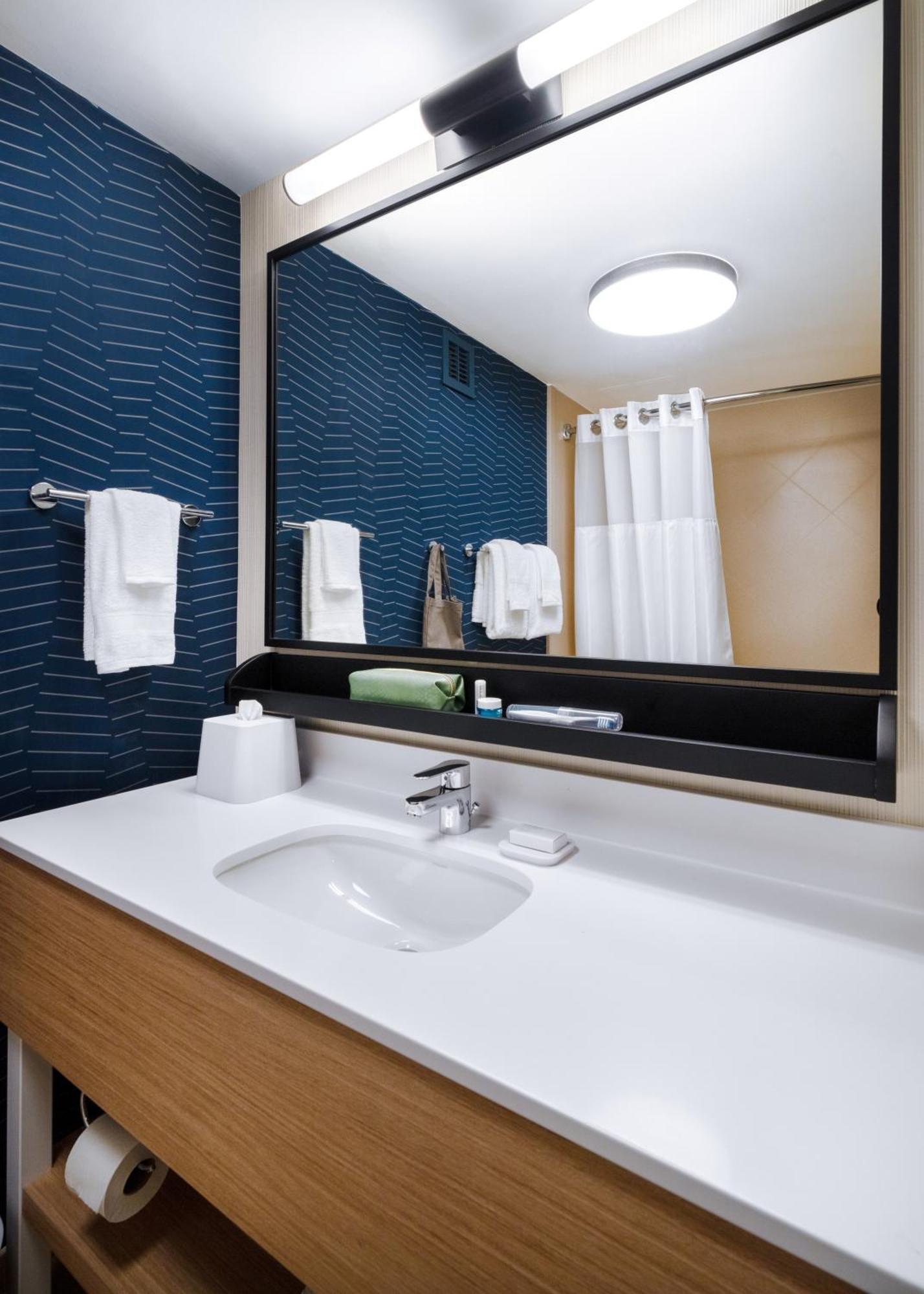 King Room Roll Shower Mobility Access