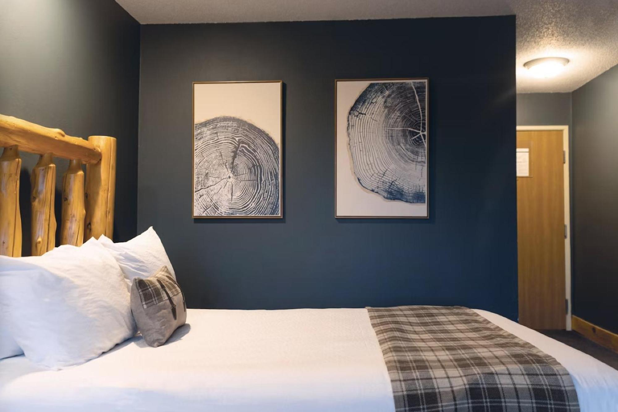 Double Guest Room