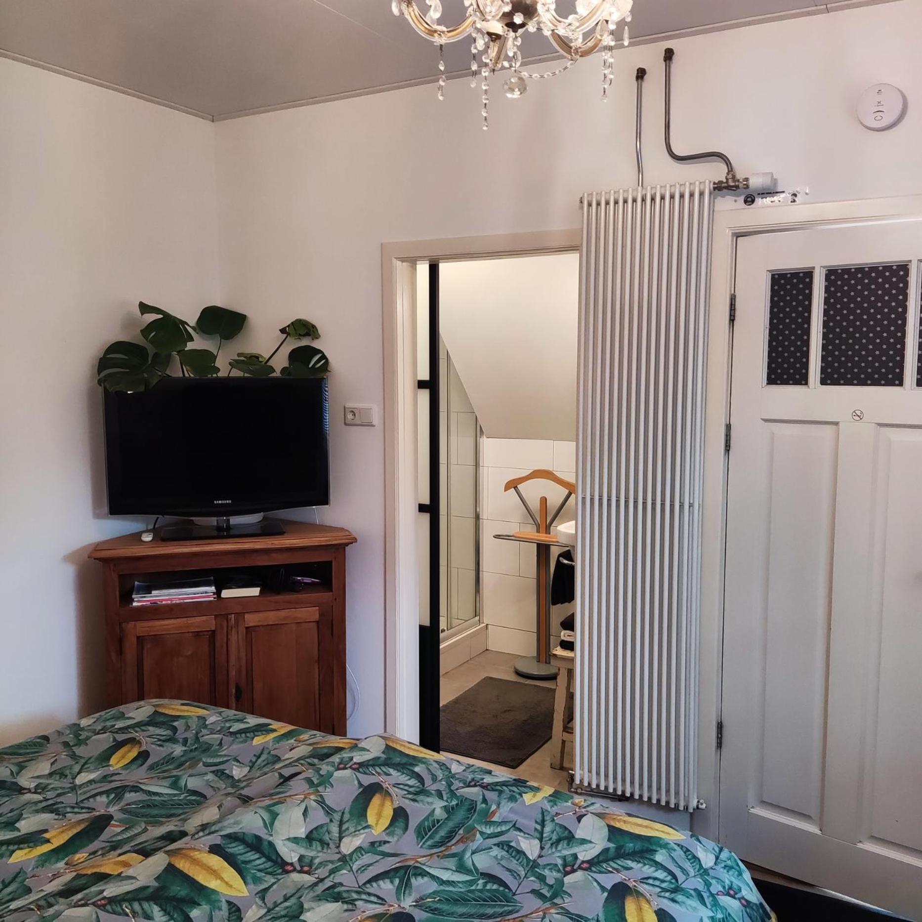Budget Single Room,1772312670:JPEG