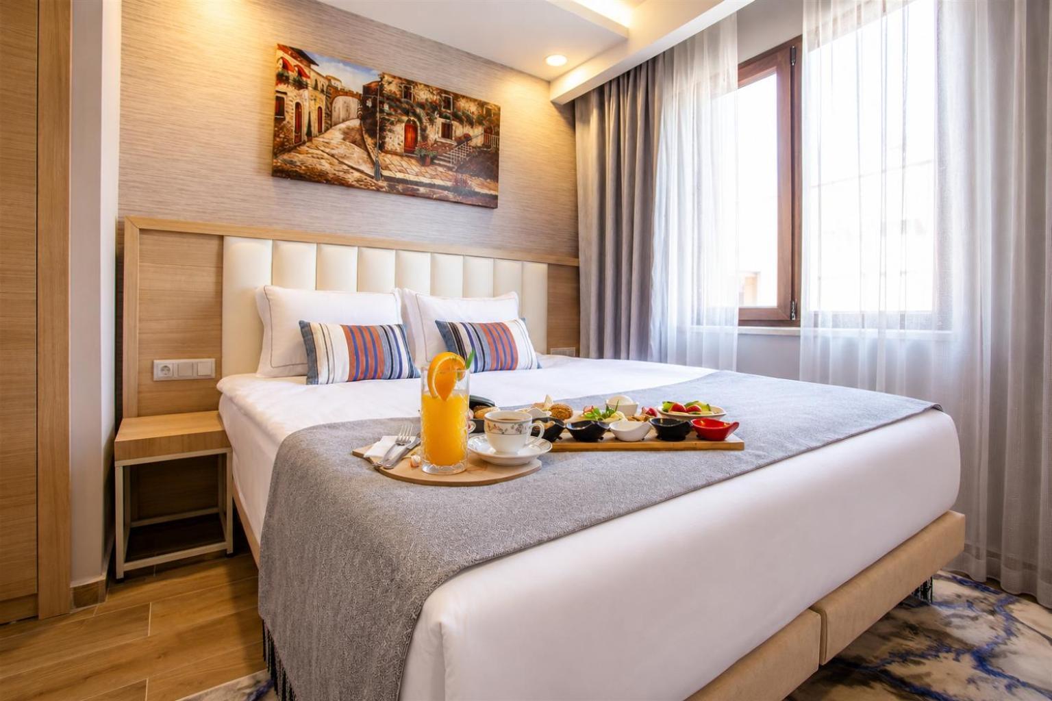 Deluxe Double or Twin Room
