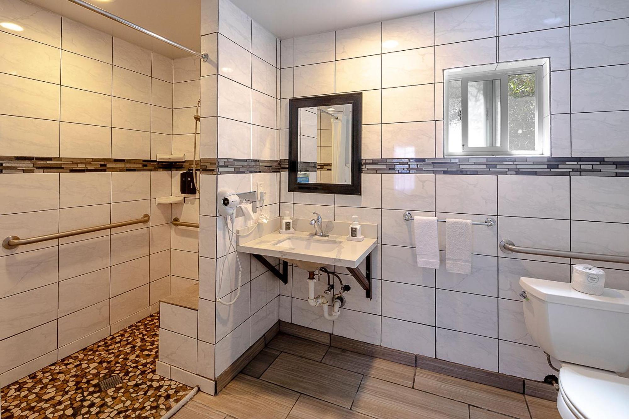 Single Room Disability Access