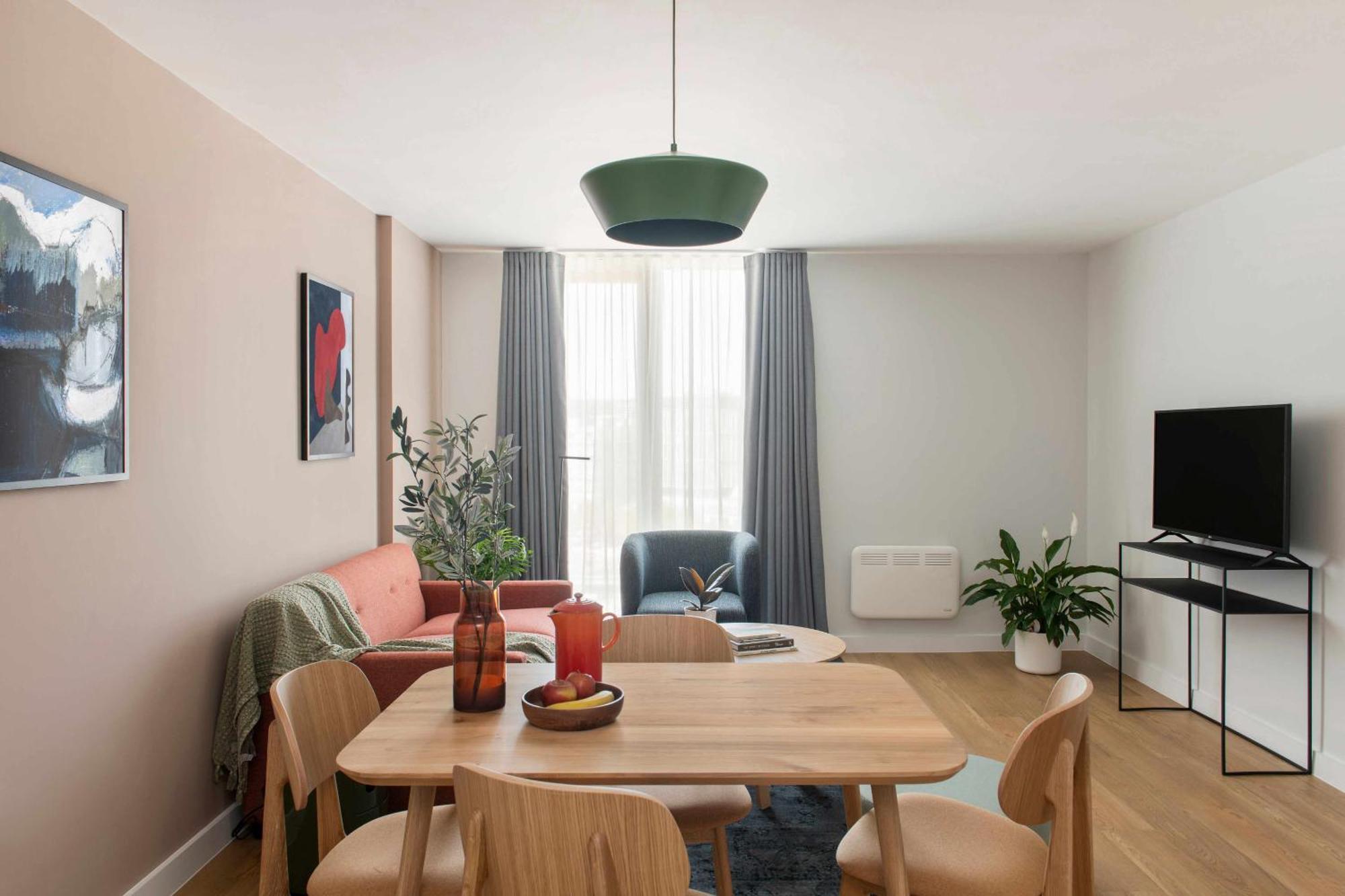 One Bedroom Apartment Sofa Bed