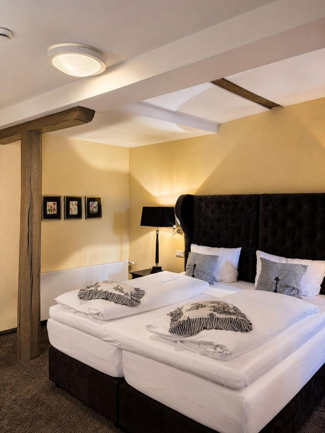 Senior Suite