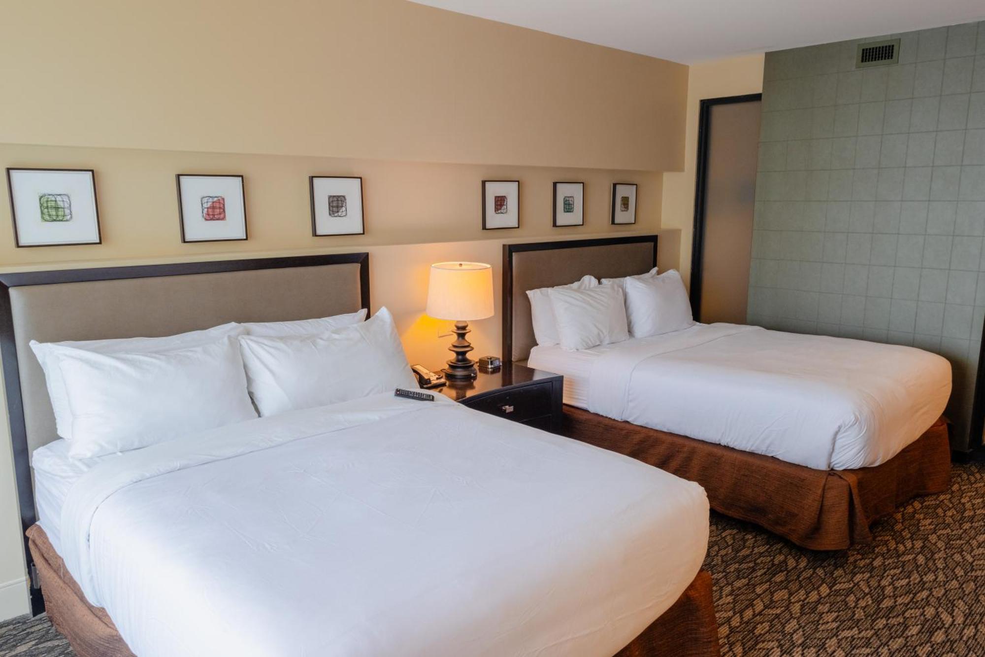 Superior Queen Room
