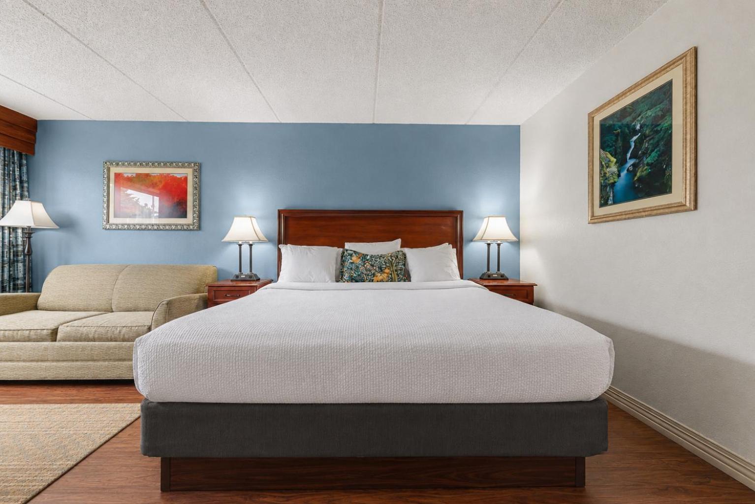 Standard King Room