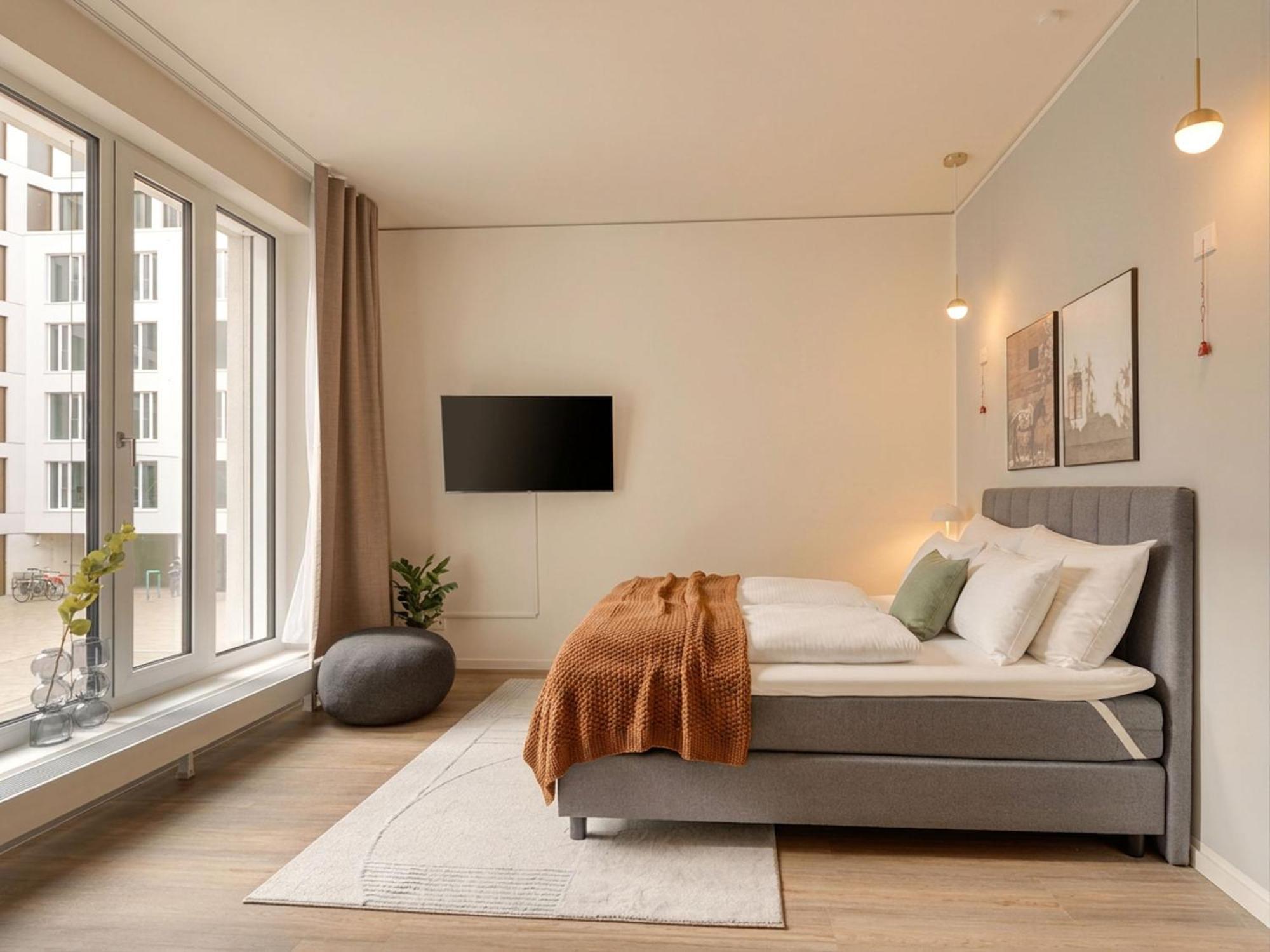 Comfort Suite
