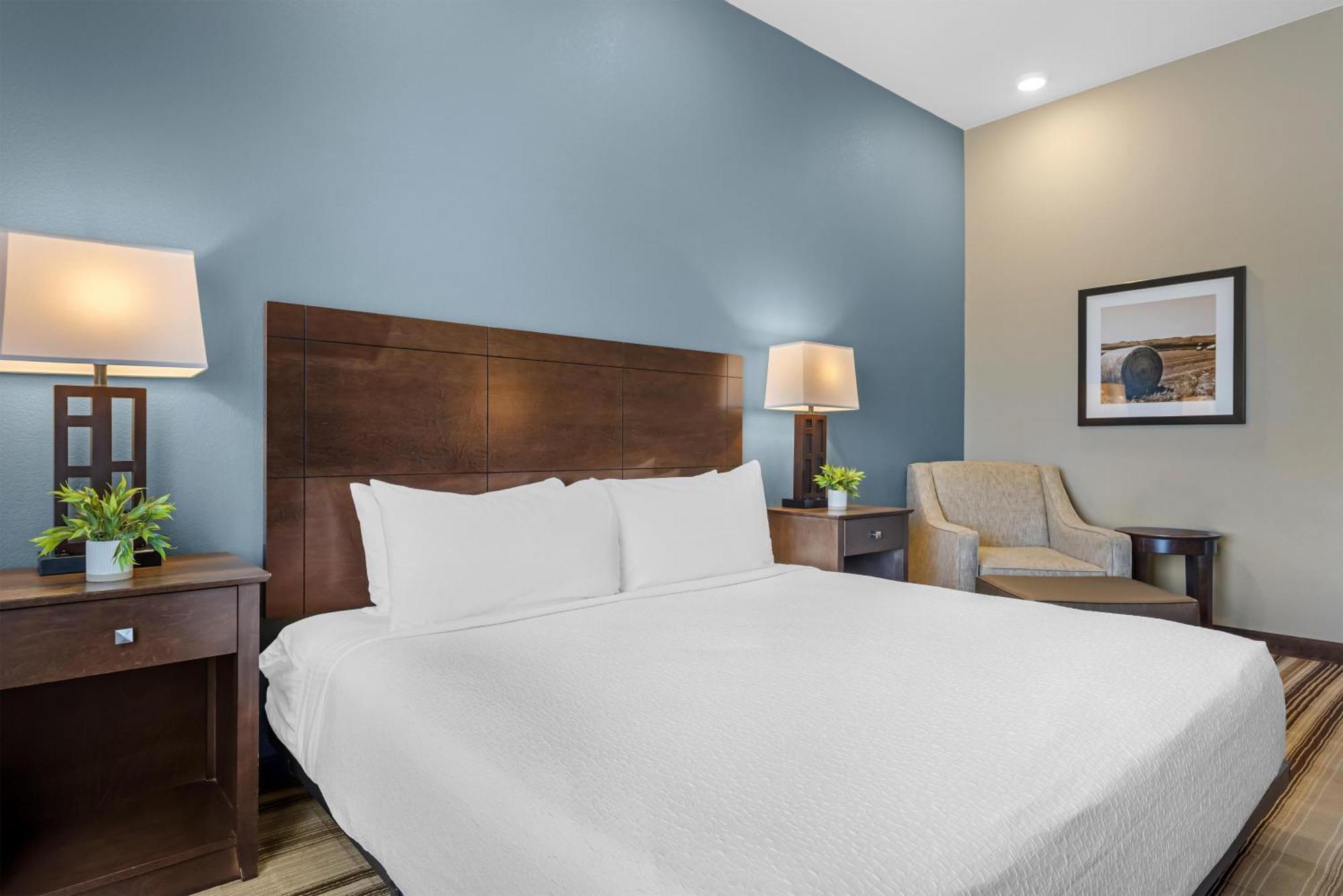 King Room with Roll-in Shower - Disability Access/Non-Smoking