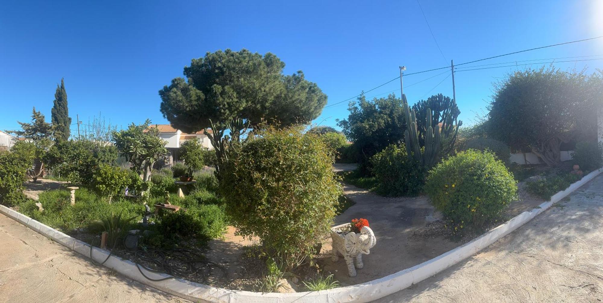 Double or Twin Room Garden View