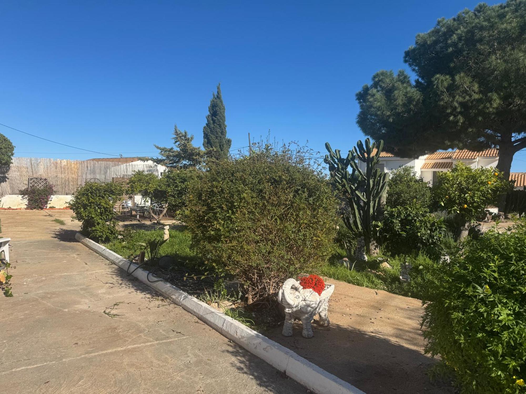 Double or Twin Room Garden View