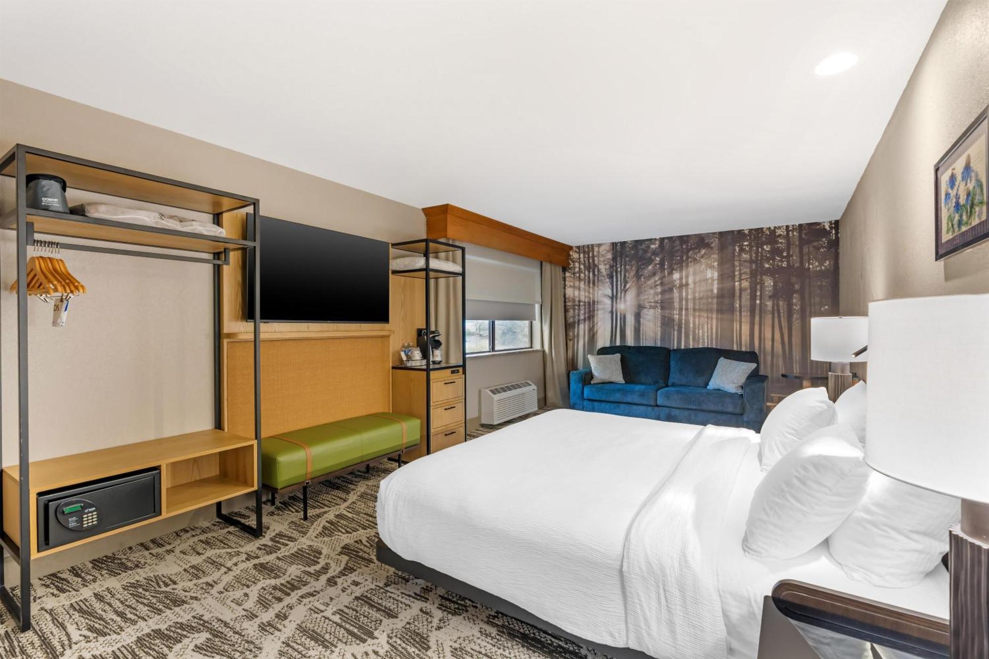 King Suite Two Sofa Beds Roll Shower Disability Access or Non-Smoking,1774466615:JPEG