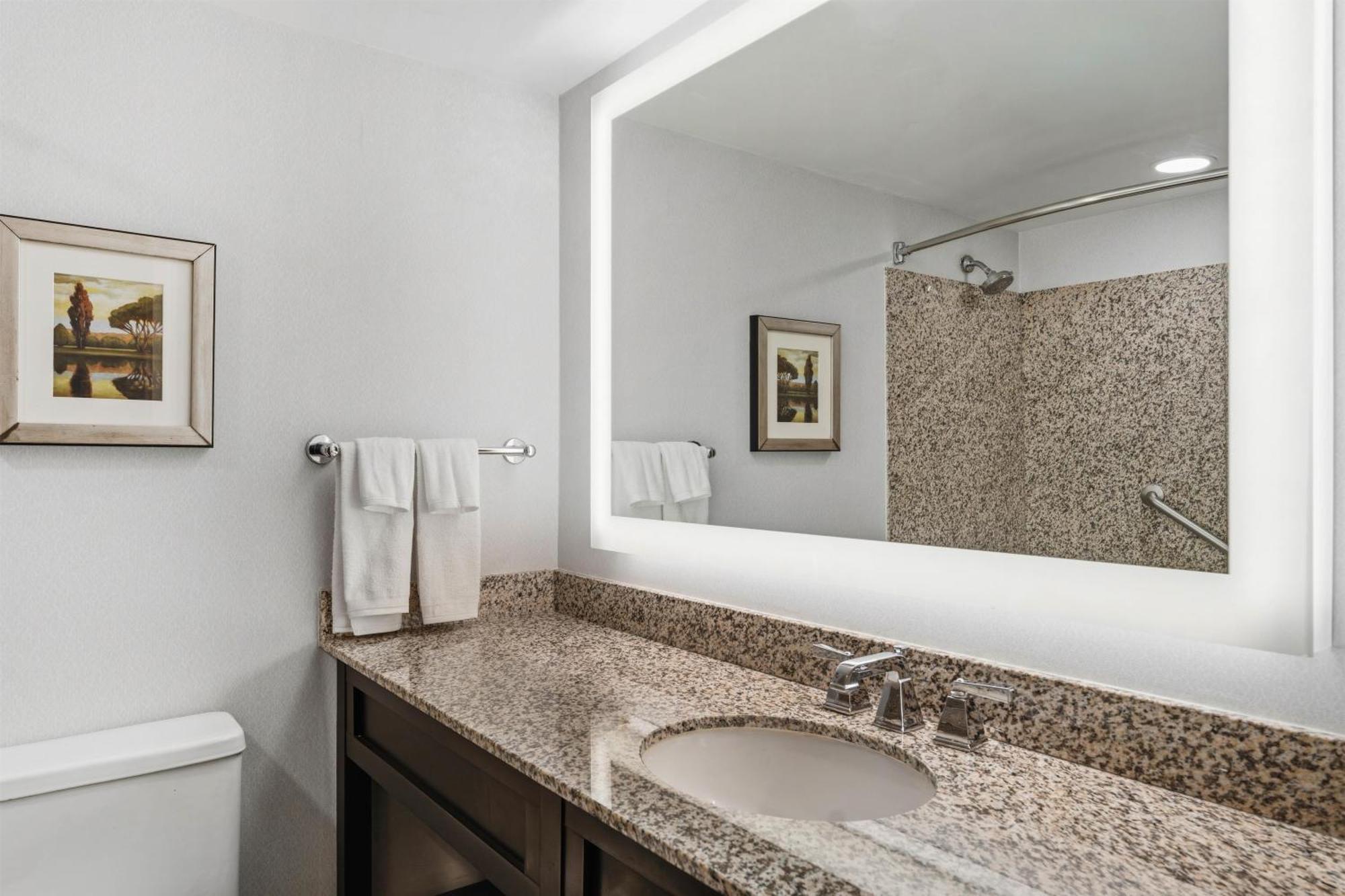 Deluxe King Suite