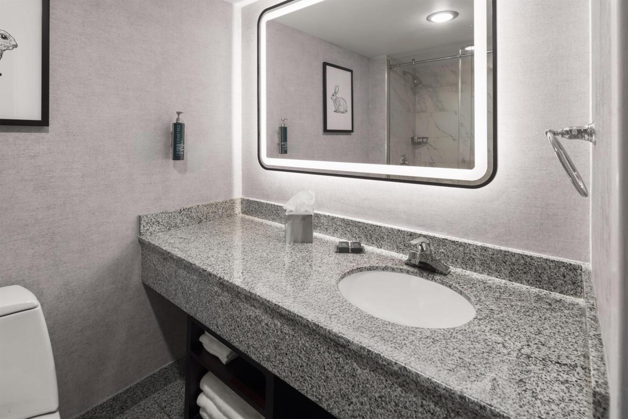 King Room Sofa Bed