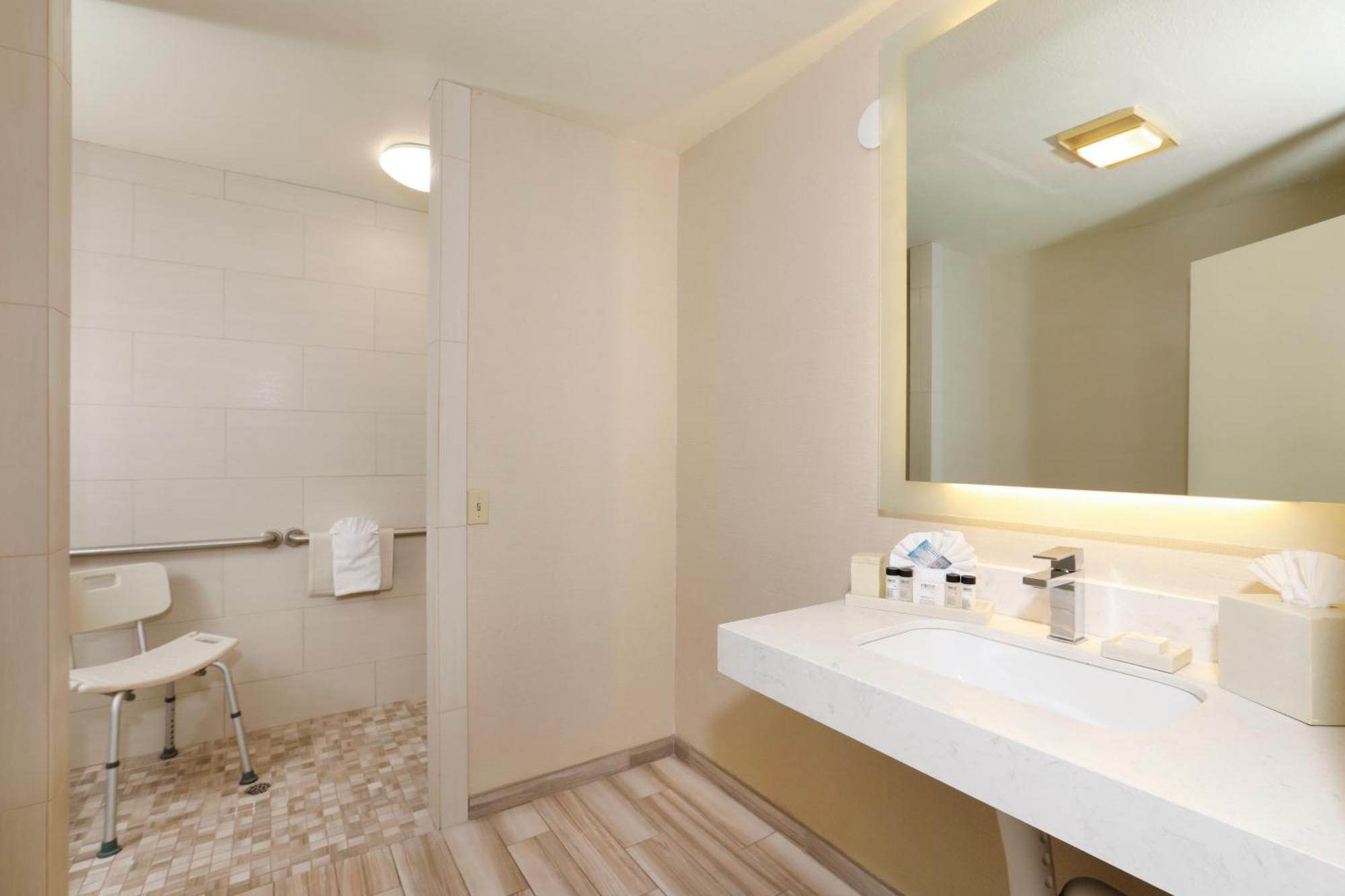 King Room Roll Shower Disability Access