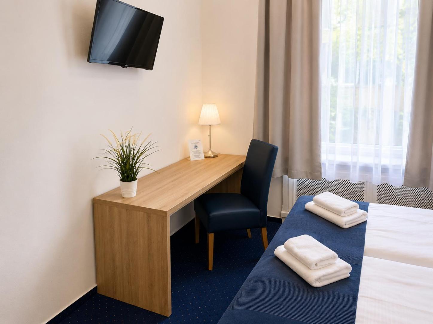 Large Double or Twin Room