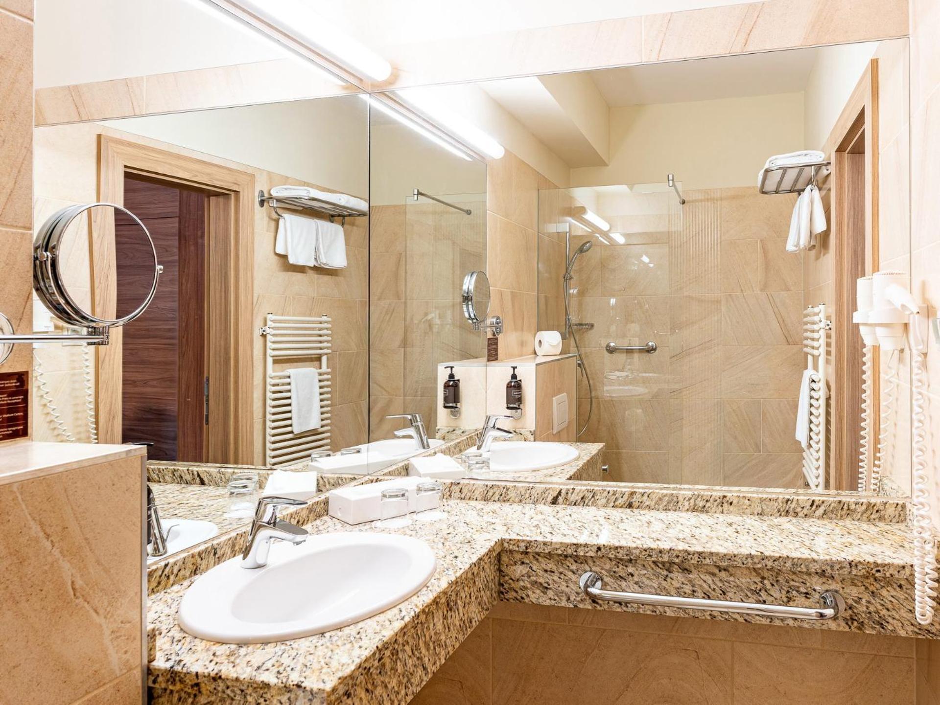 Deluxe Plus Room