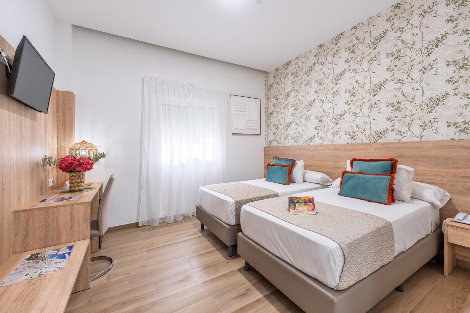 Double or Twin Room