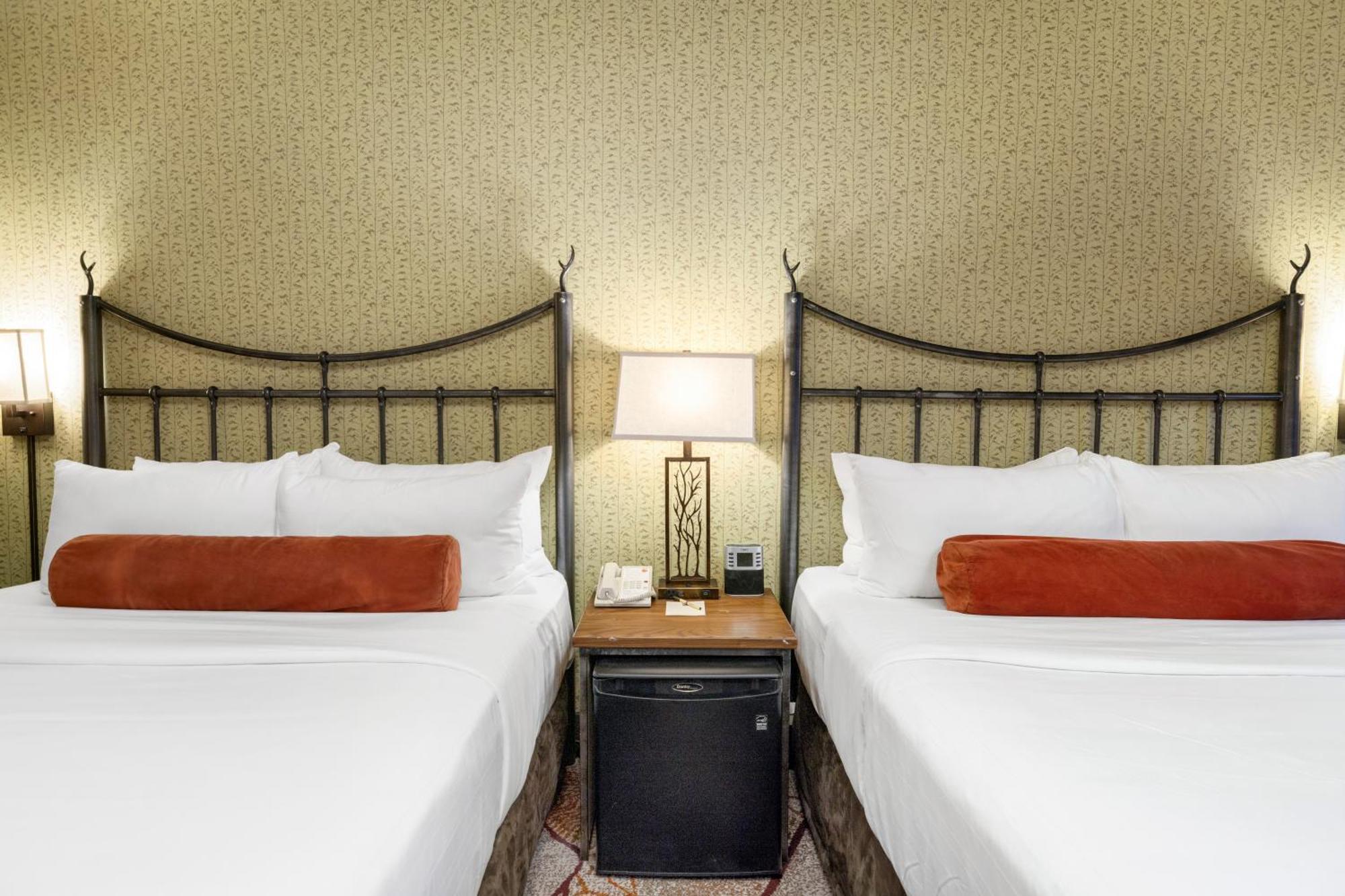 Superior Two Queen Room