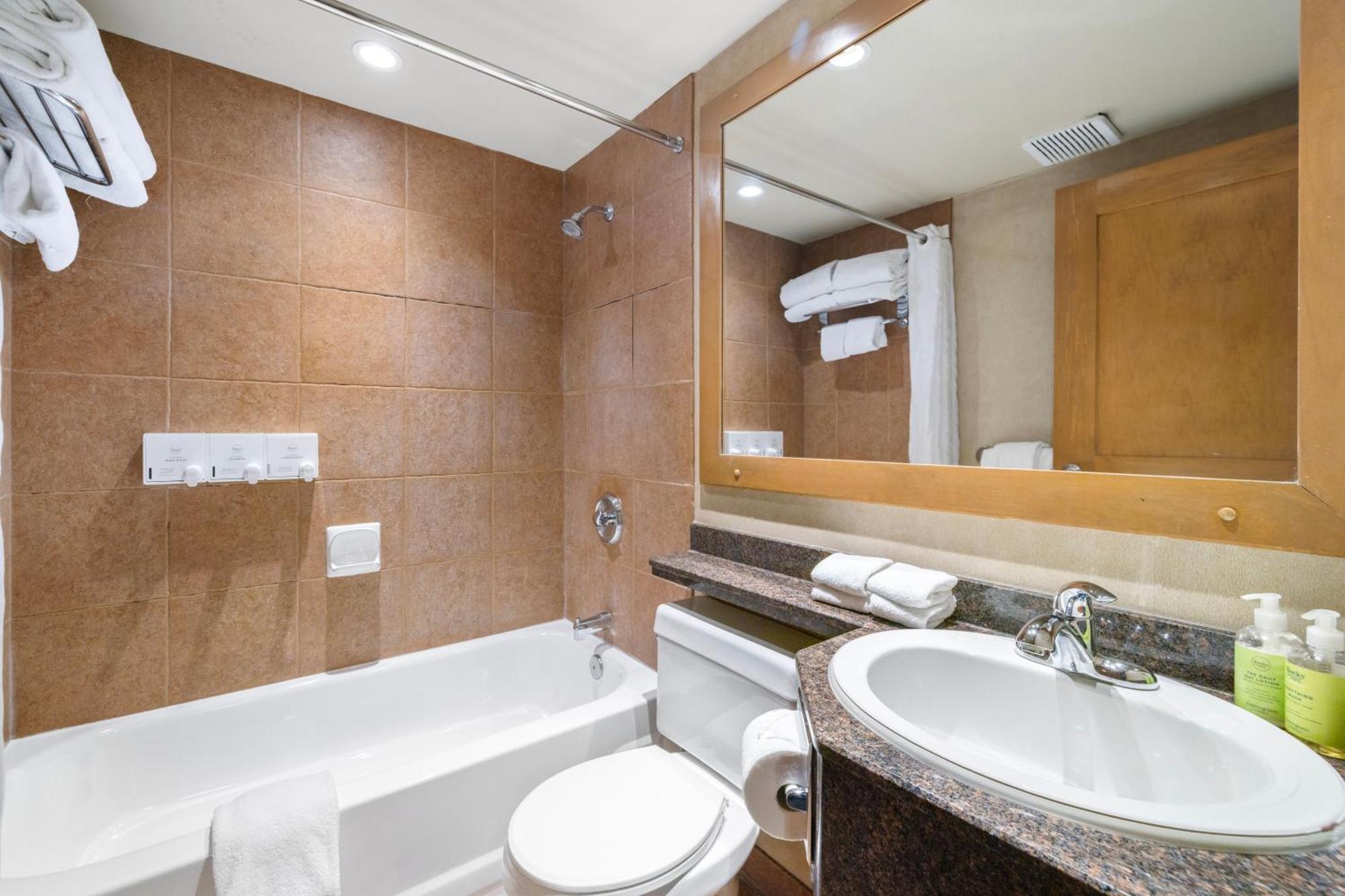 Deluxe One-Bedroom Apartment Loft 3 Queens