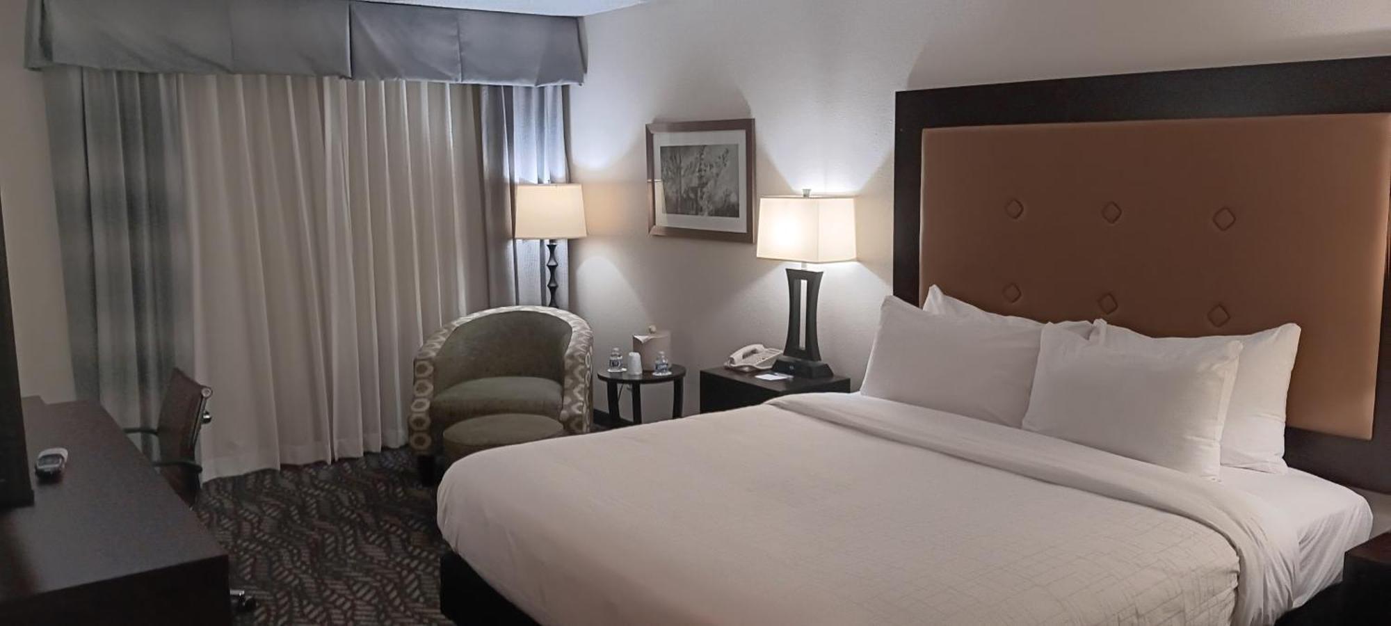 King Room Executive Floor or Non-Smoking