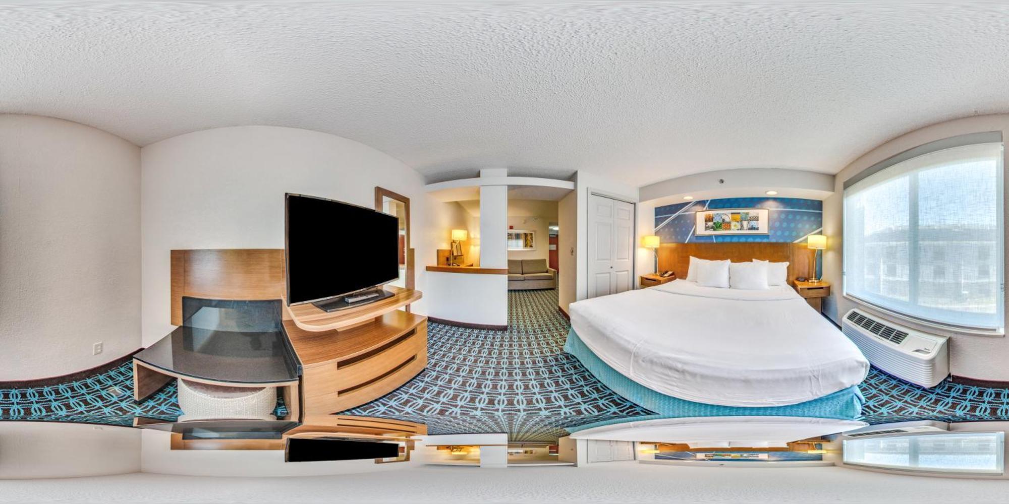 King Suite Sofa Bed Non Smoking