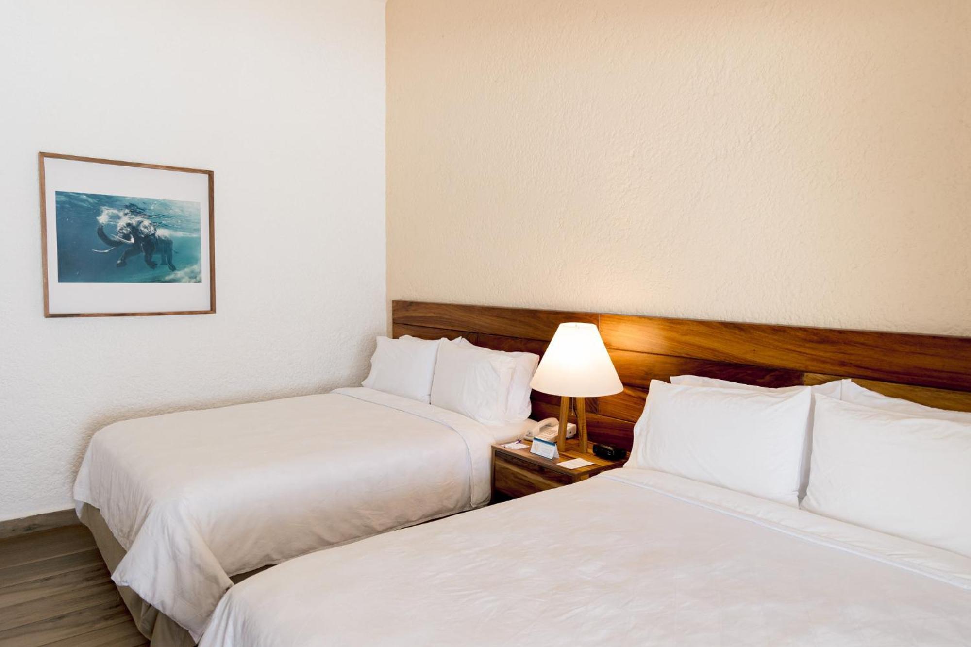 Standard Double Room Two Double Beds