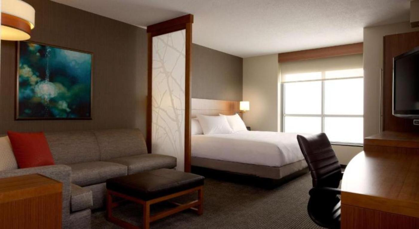 King Bed Sofa Bed