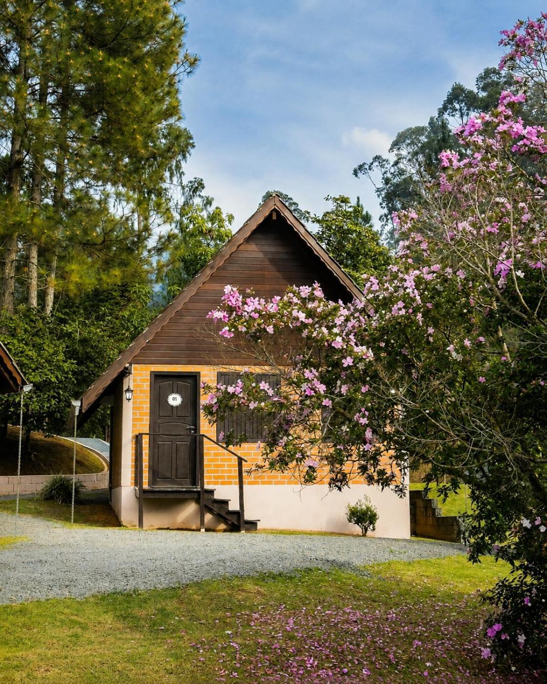 Superior Chalet